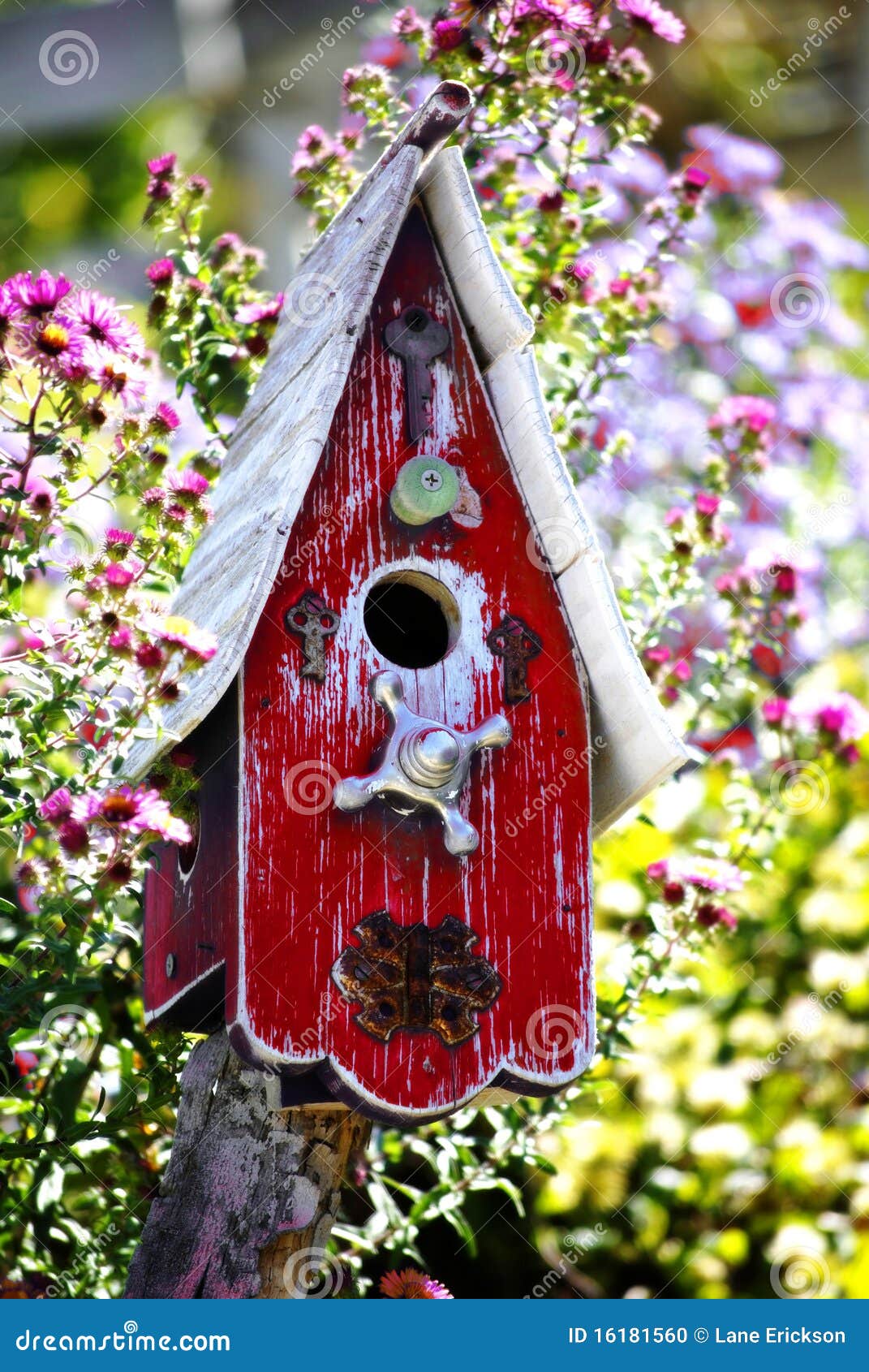 Bird House stock photo. Image of chip, chipped, house 16181560