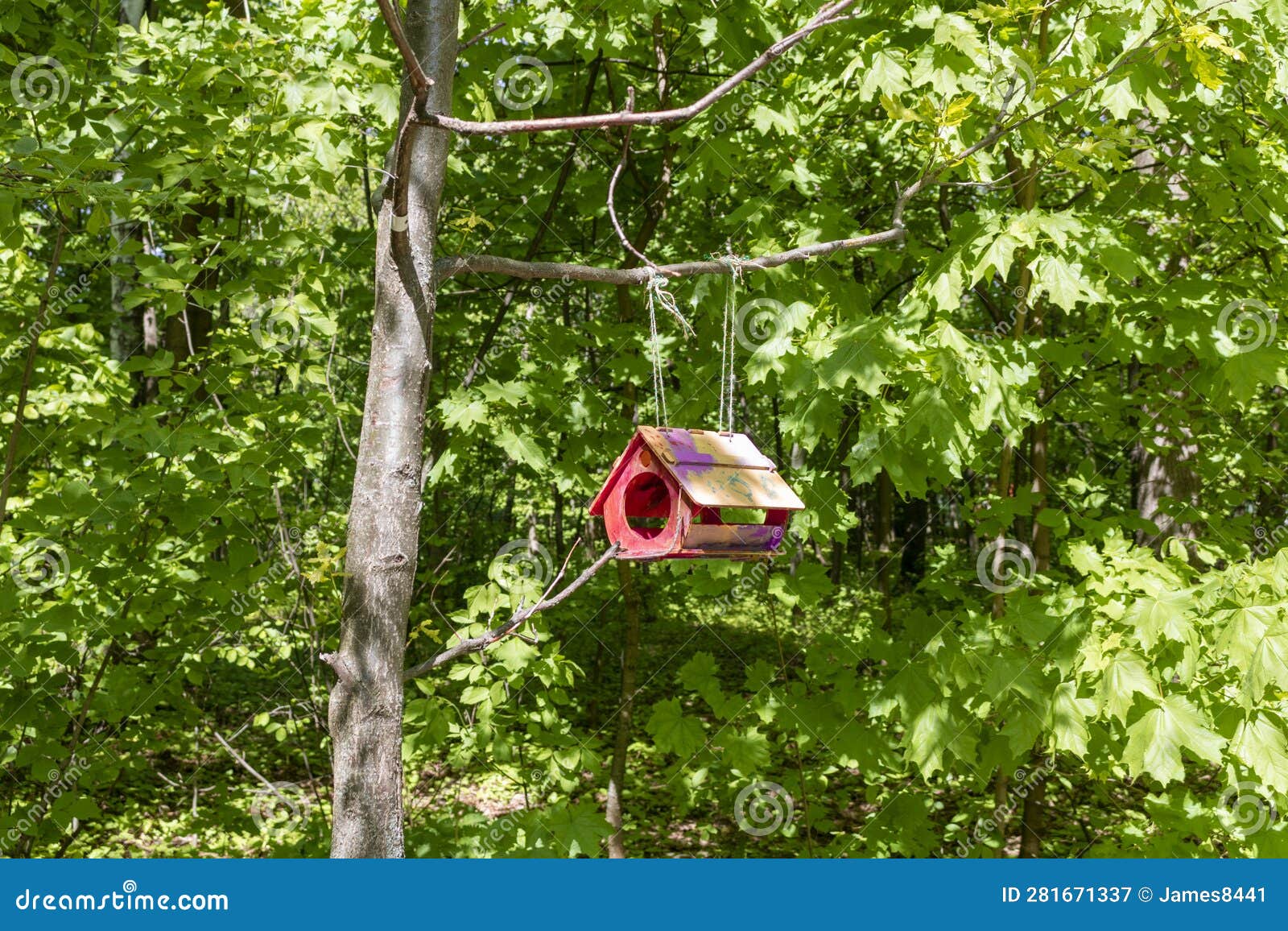 Bird house in the forest stock image. Image of garden 281671337