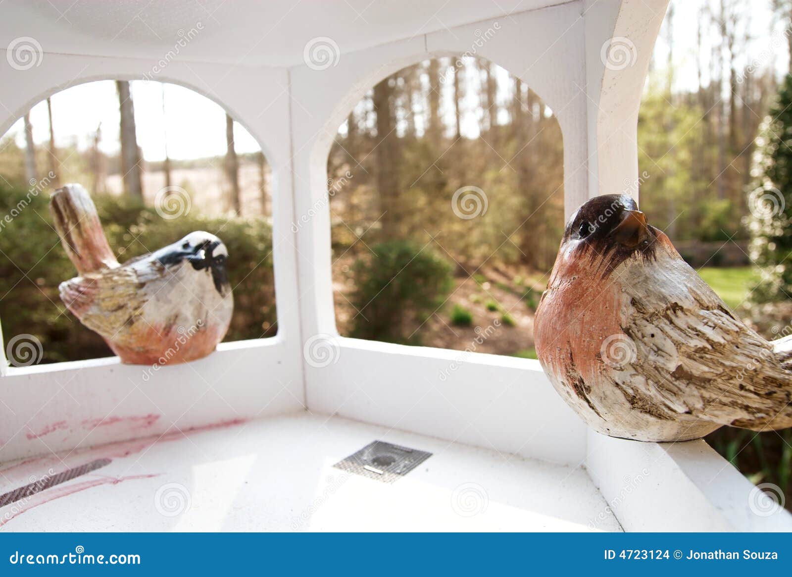 Bird house from inside. stock photo. Image of seeds, aviary 4723124