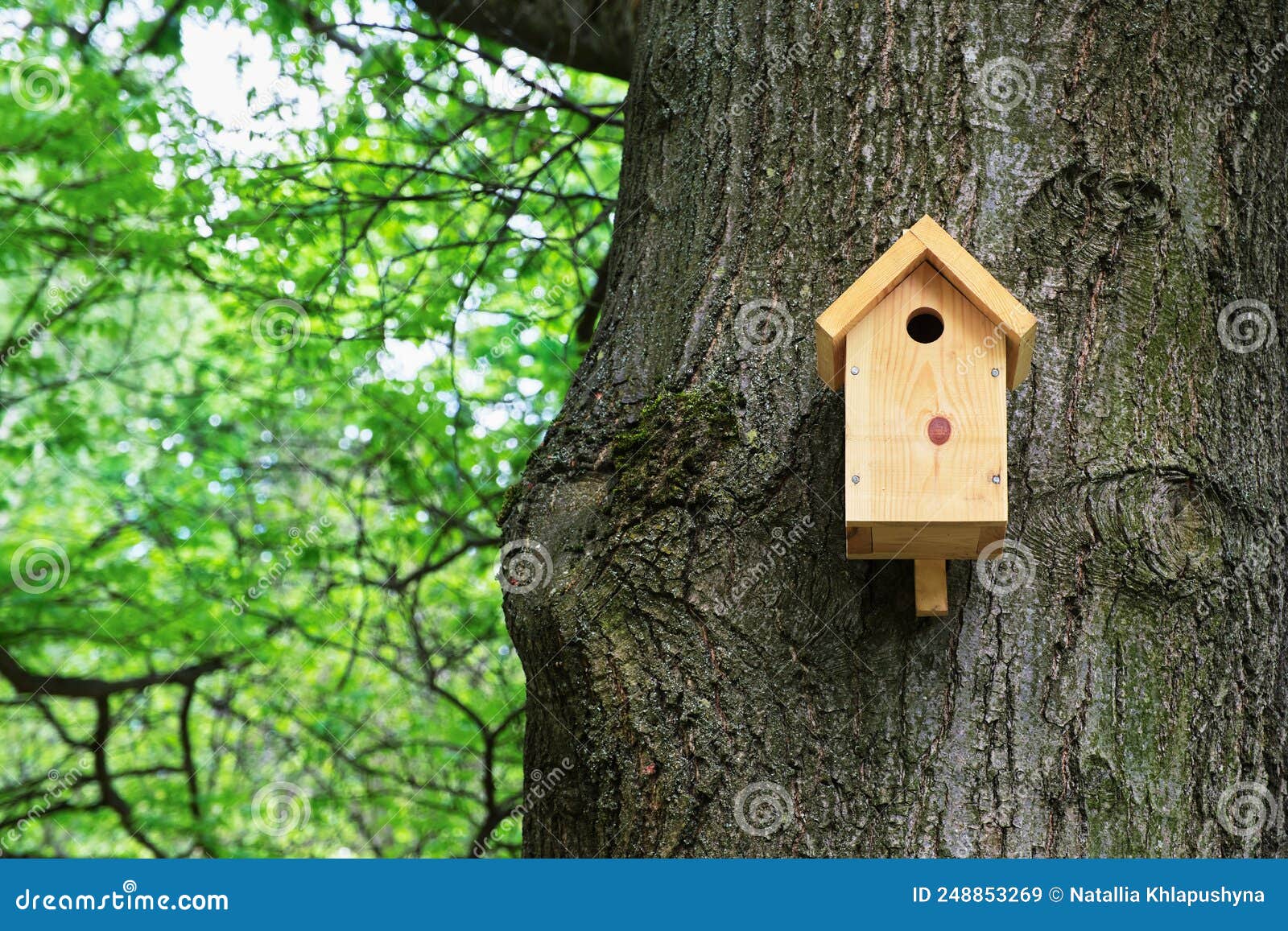 bird house on a tree. wooden birdhouse, nesting box for songbirds