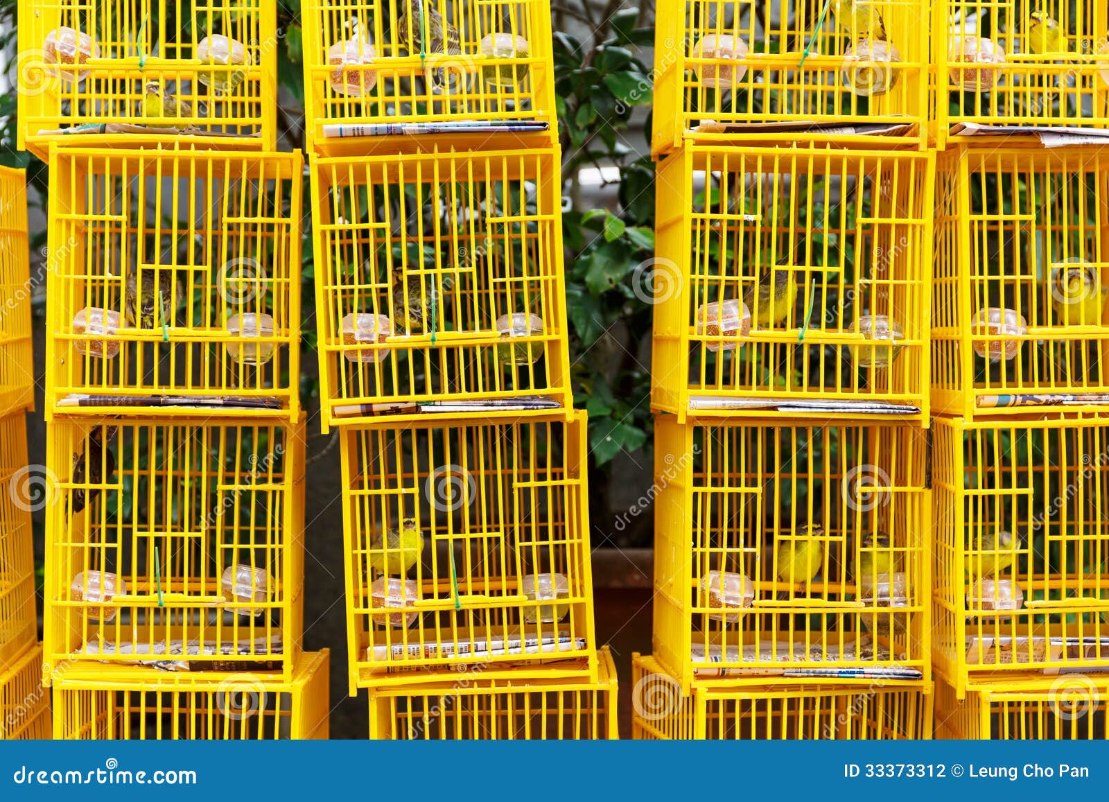 Bird Market in Hong Kong stock photo. Image of yuen, chinese 33373312