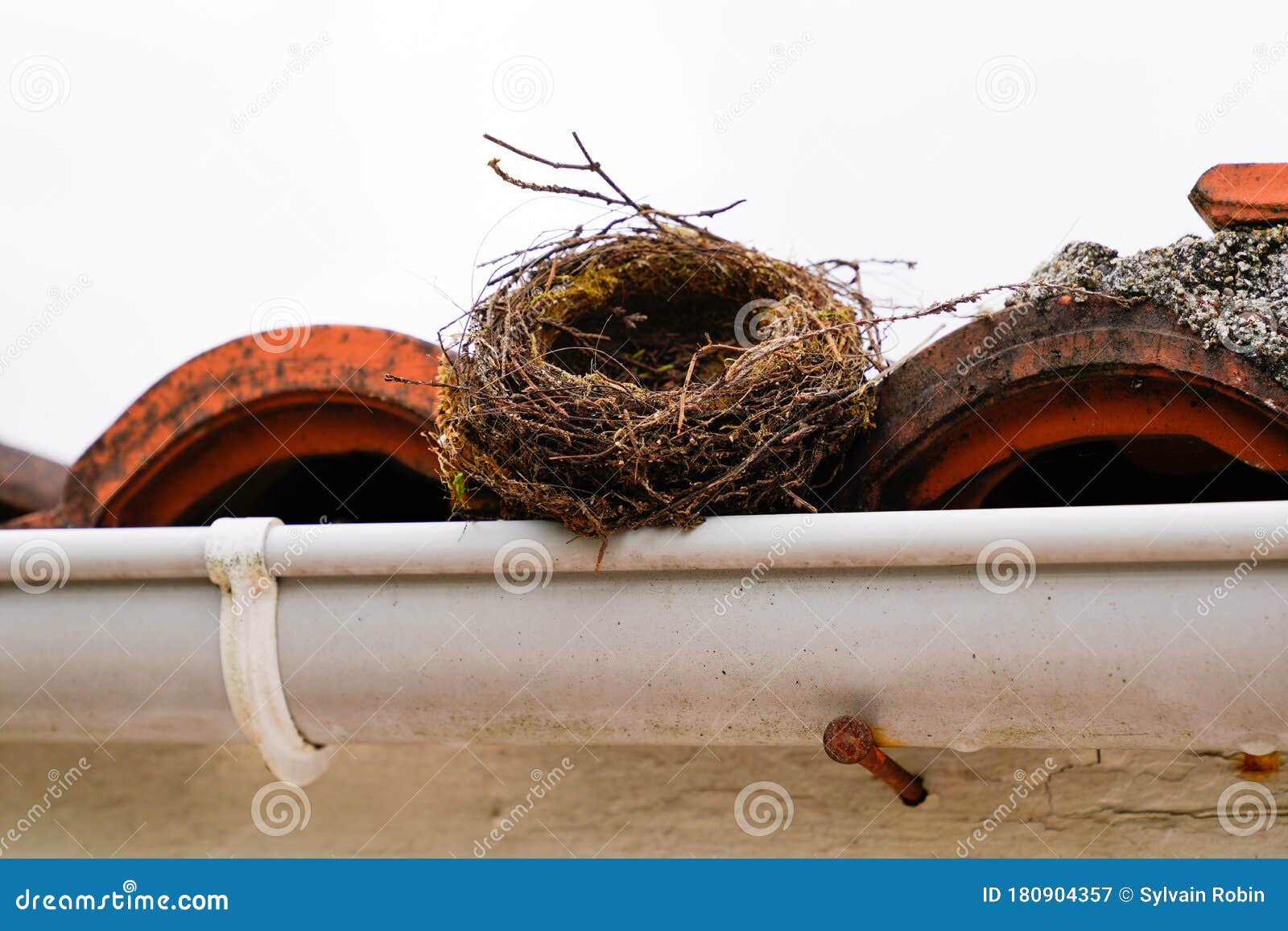 Bird Nest Empty on Roof White House Facade Stock Image Image of