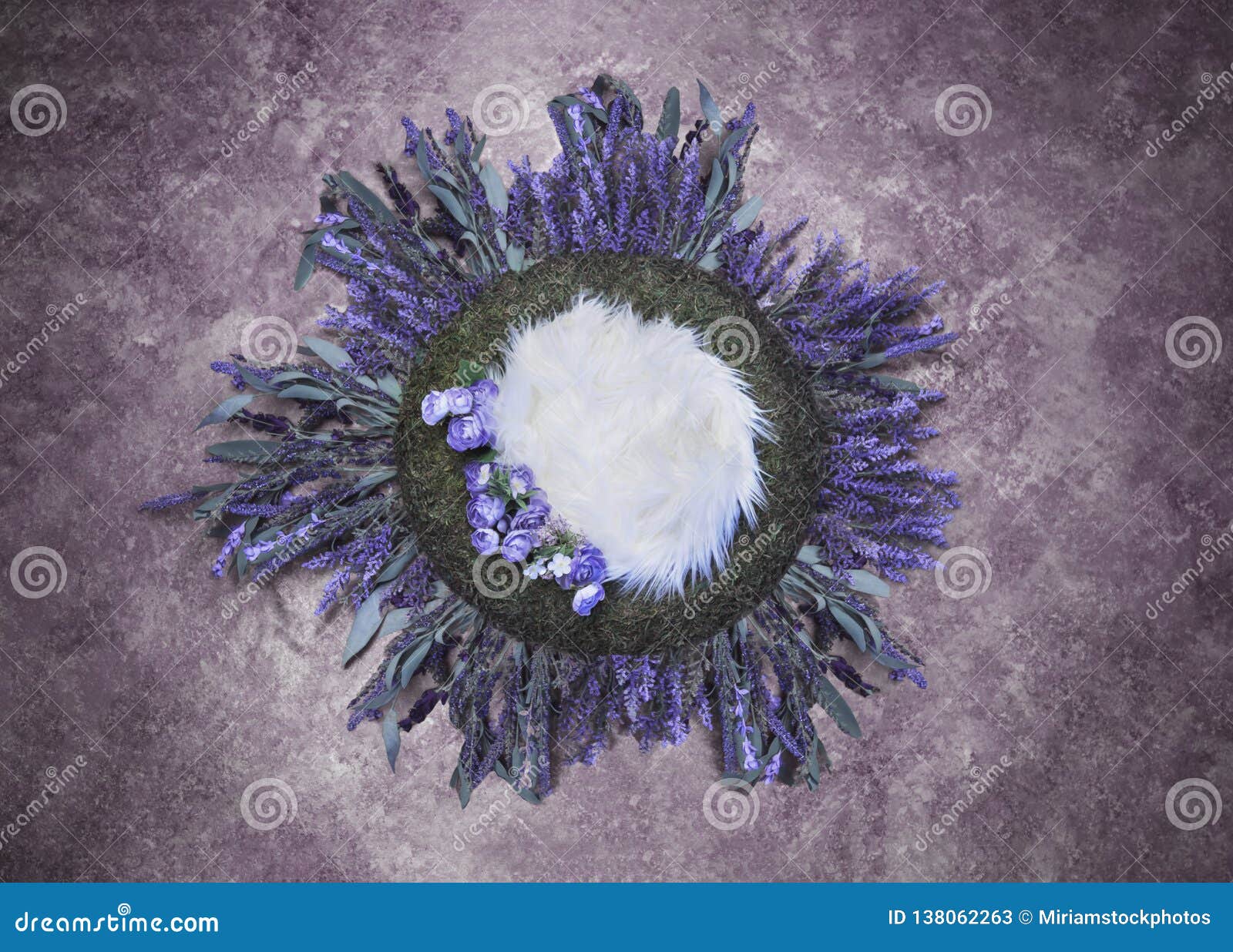 https://thumbs.dreamstime.com/z/bird-nest-fantasy-background-photo-prop-flowers-isolated-purple-lavender-color-newborn-photography-digital-138062263.jpg