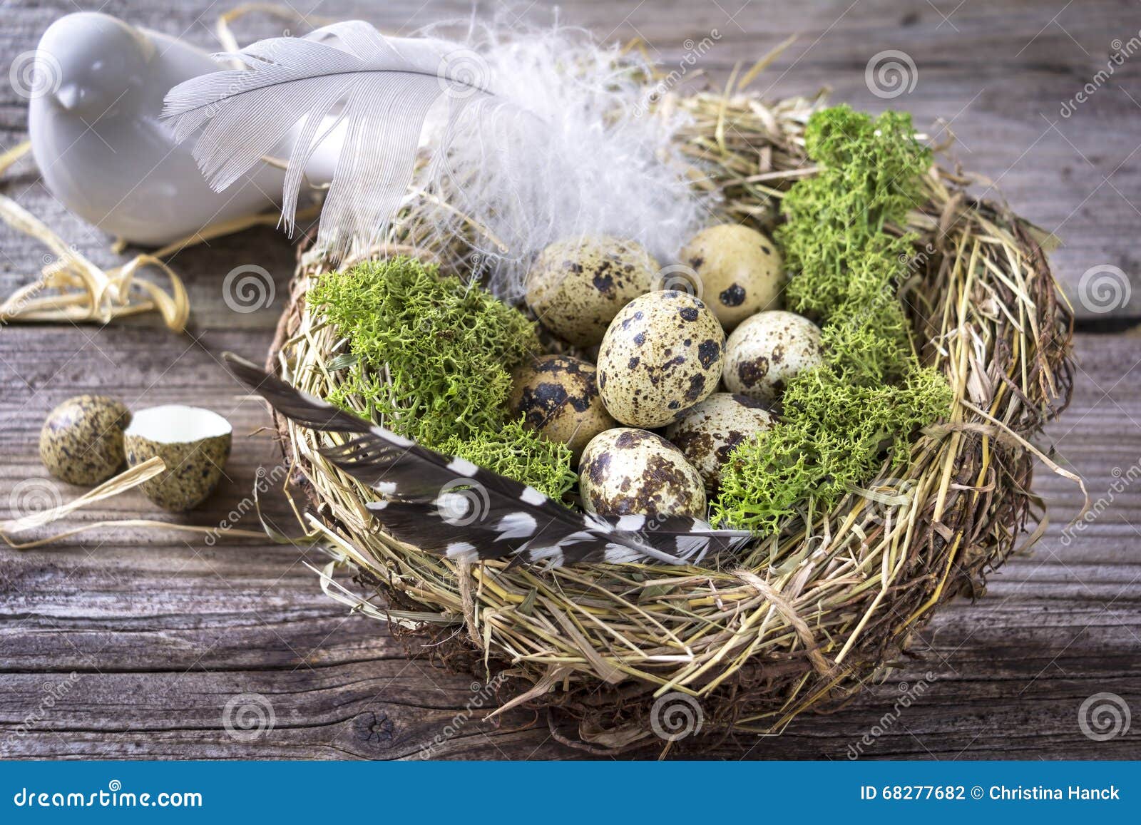 Bird Nest on a Table with Eggs and Feather Stock Photo Image of happy