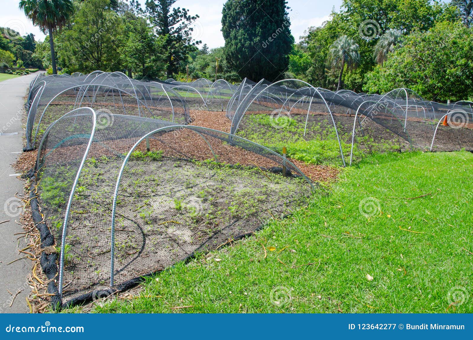 Bird Netting Covering For Flower Bed In The Garden Stock Image