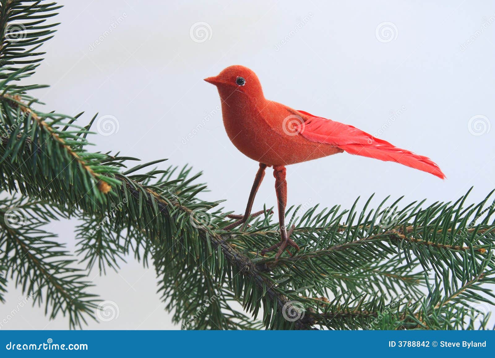 Bird Ornament on a Christmas Tree Stock Photo Image of hanging