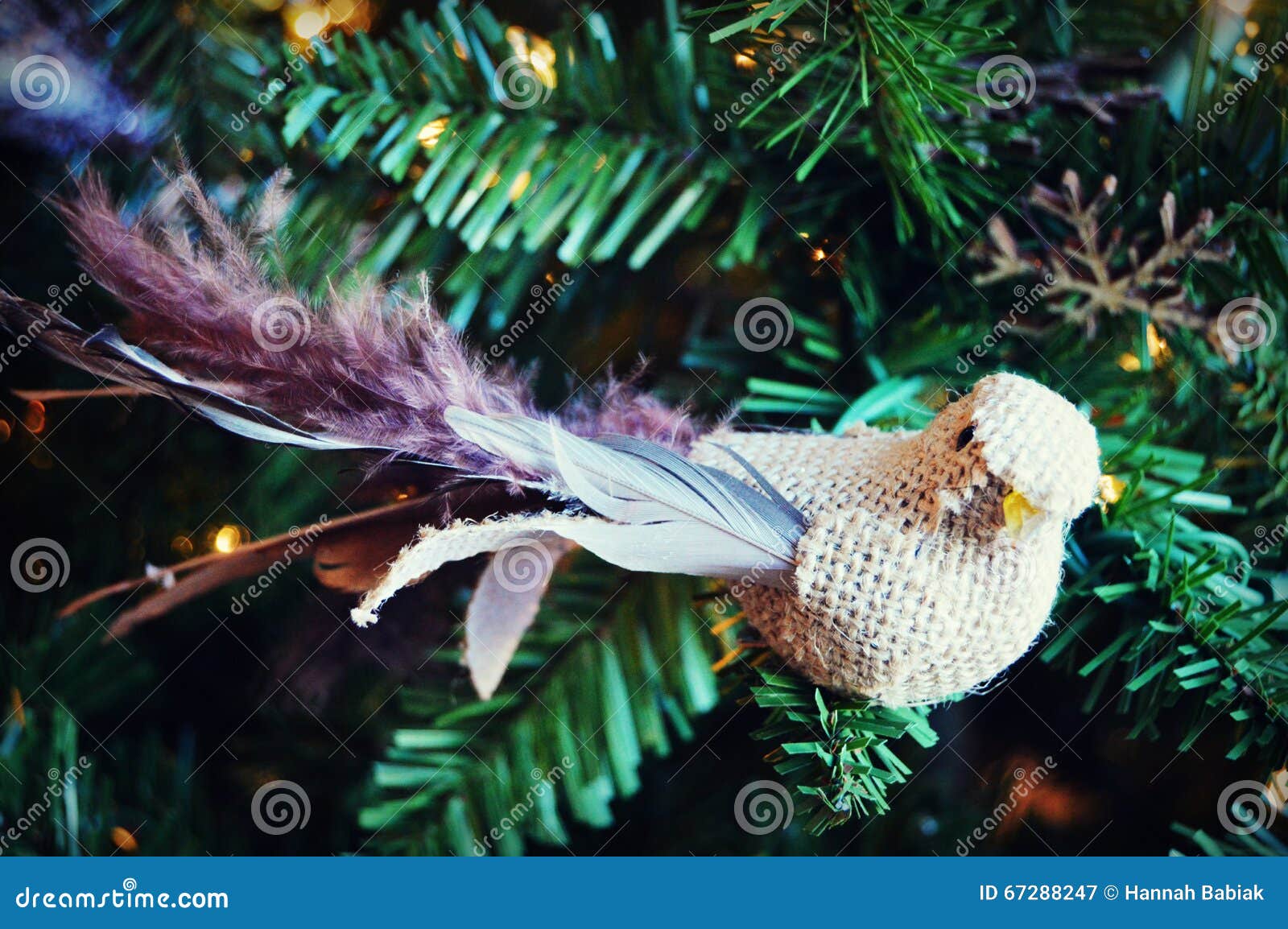 Bird Ornament stock image. Image of burlap, animal, indoor 67288247