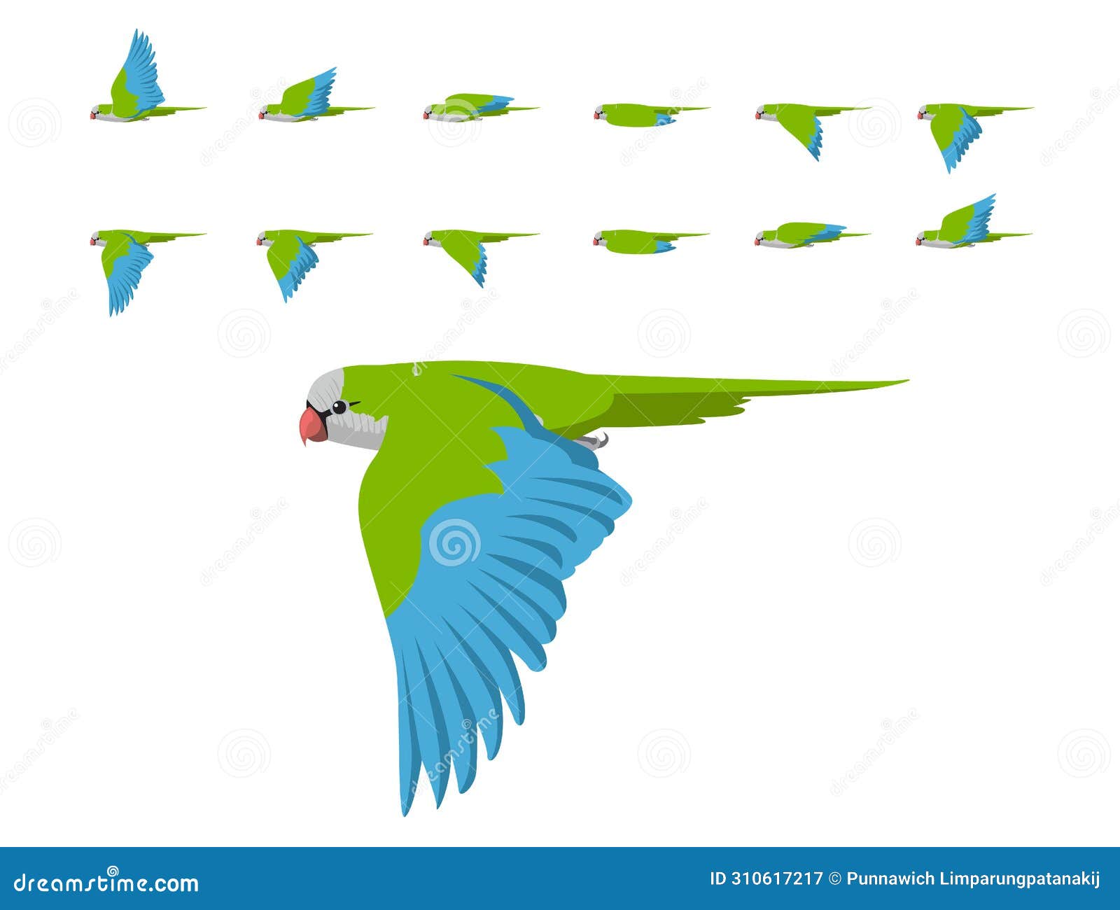 bird parrot monk parakeet flying animation sequence cartoon 