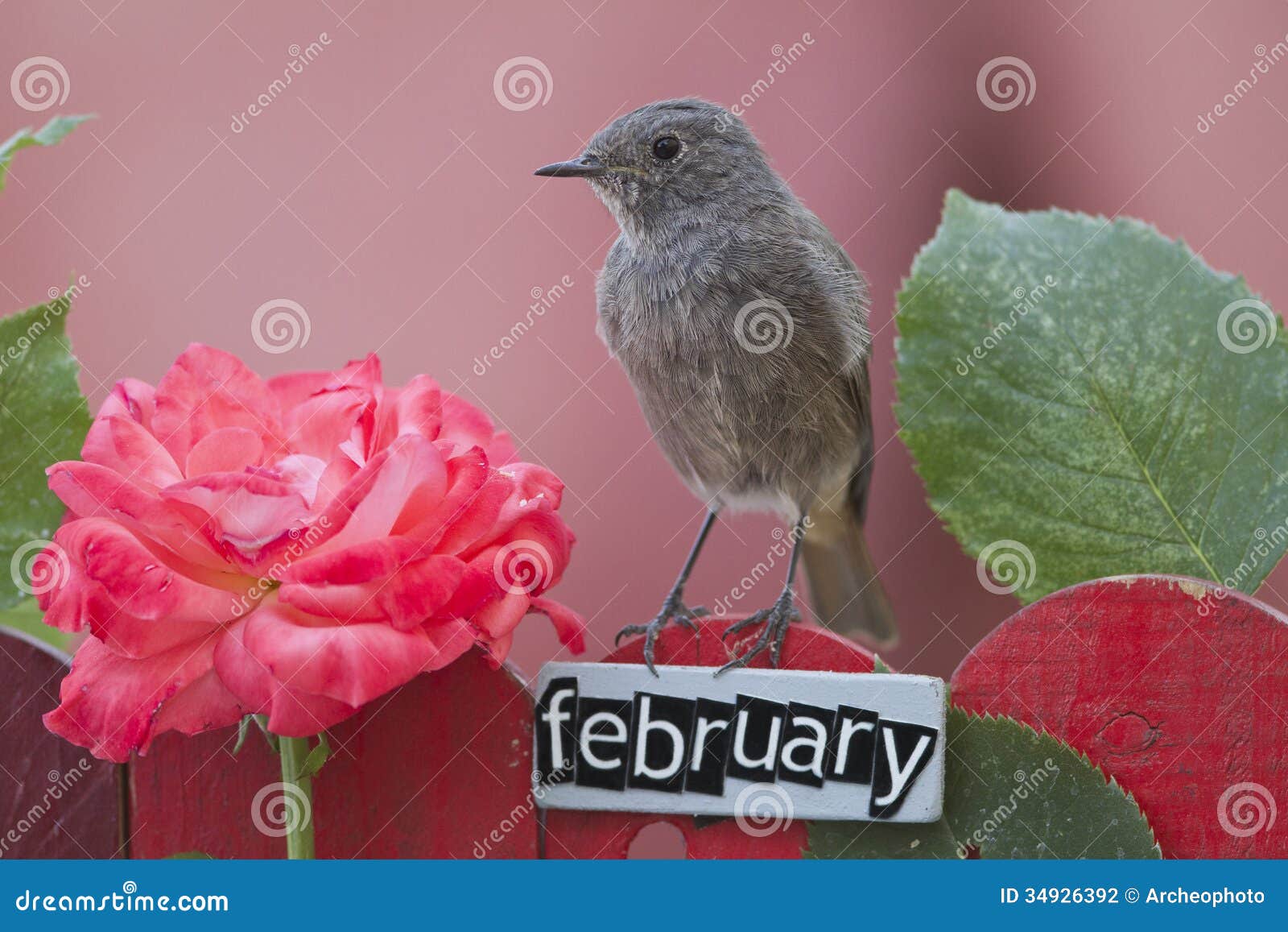 bird perched on a february decorated fence