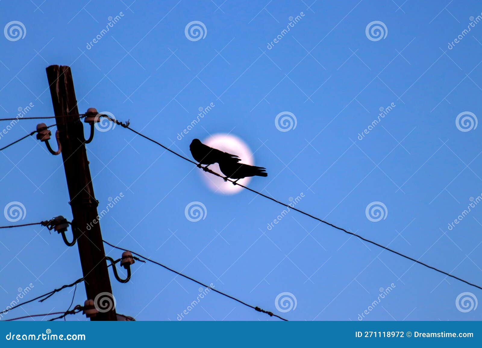 A Bird Perches on a Wire with a Moon in the Background,creating a