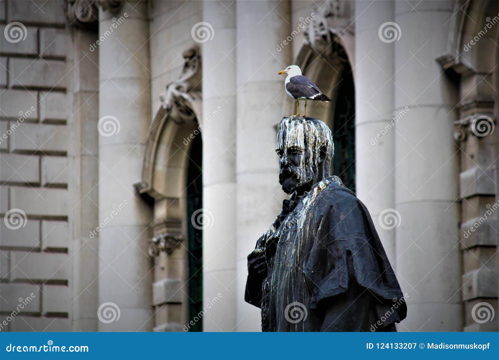 bird-poop-statue-belfast-city-hall-belfast-northern-ireland-124133207.jpg