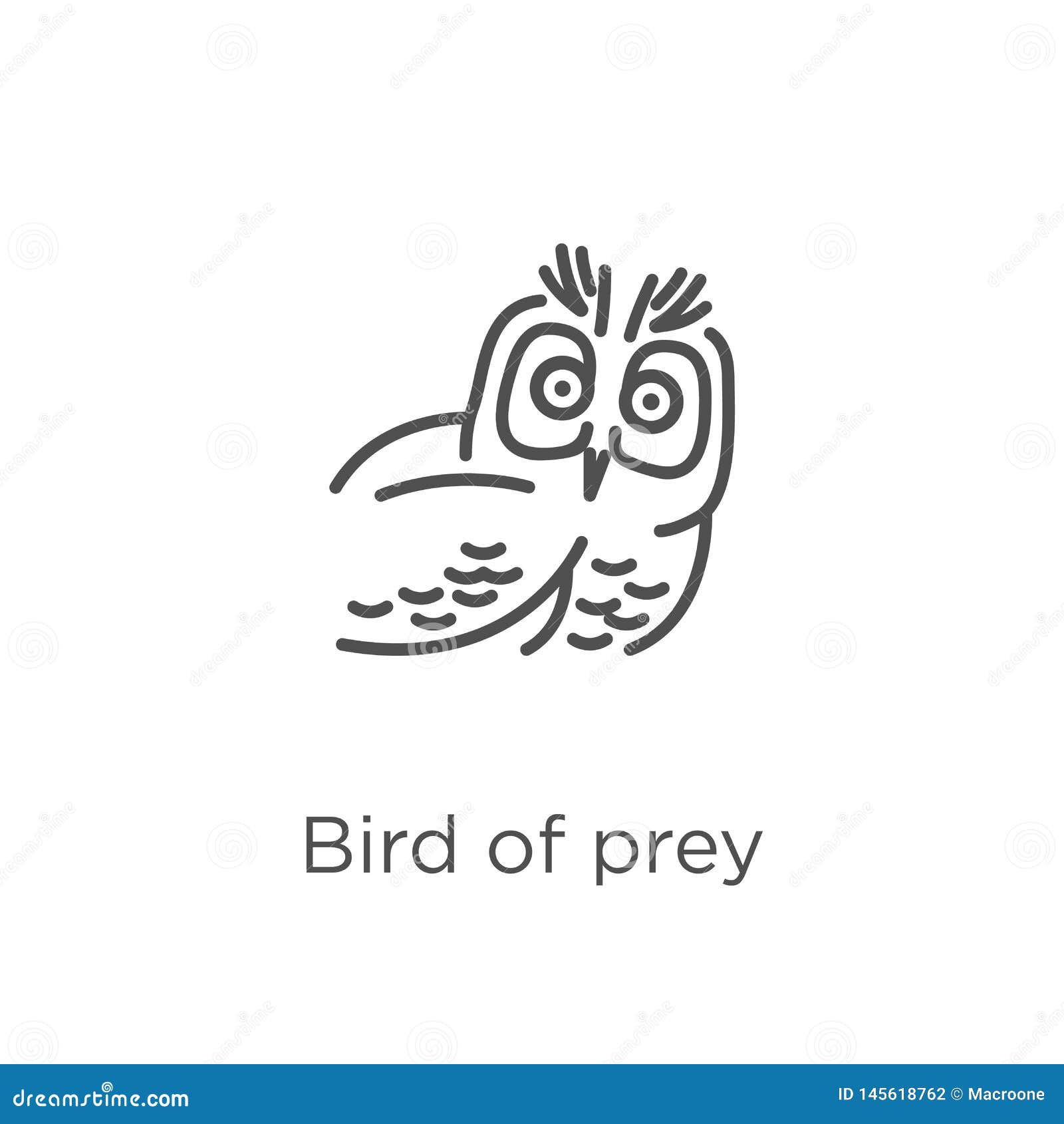 birds of prey eyes vector birds of prey eyes vector