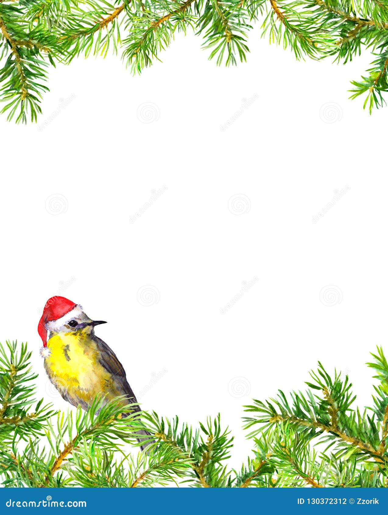 bird in red christmas hat, fir tree branches border. christmas card. watercolor