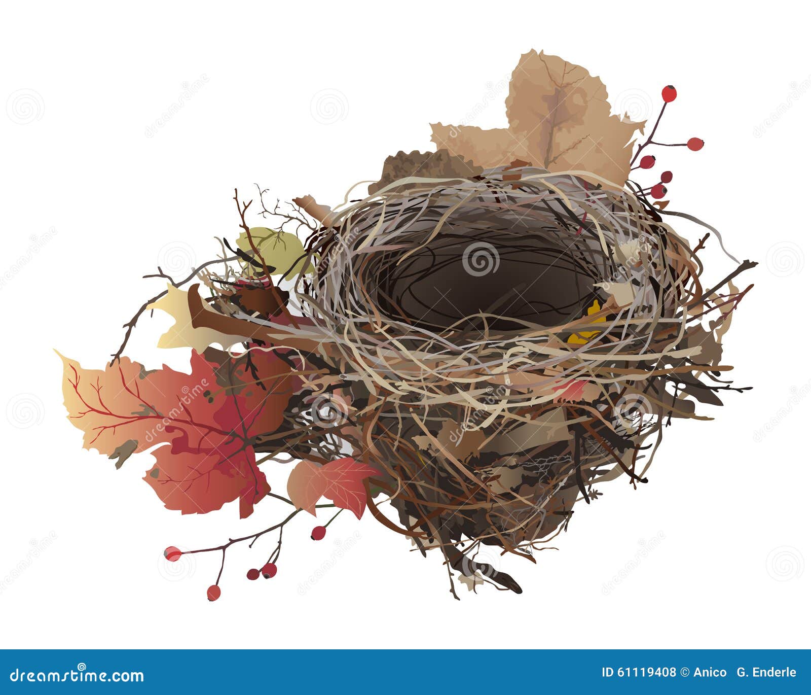bird's nest in autumn.