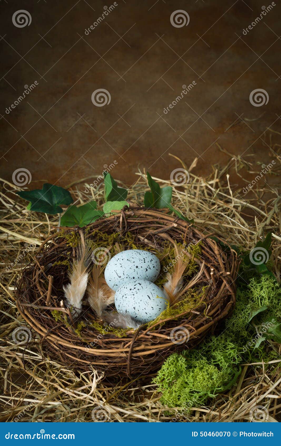 Bird s nest with blue eggs stock photo. Image of easter 50460070