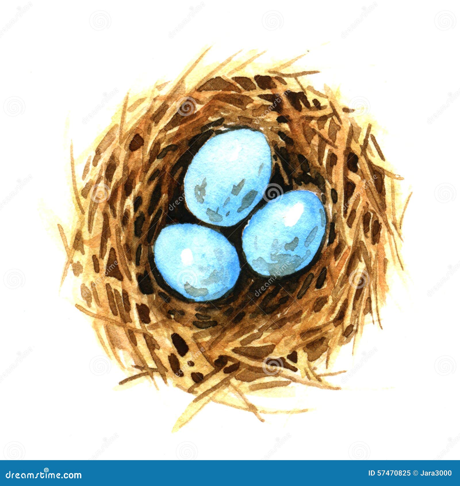 clipart nest egg - photo #25