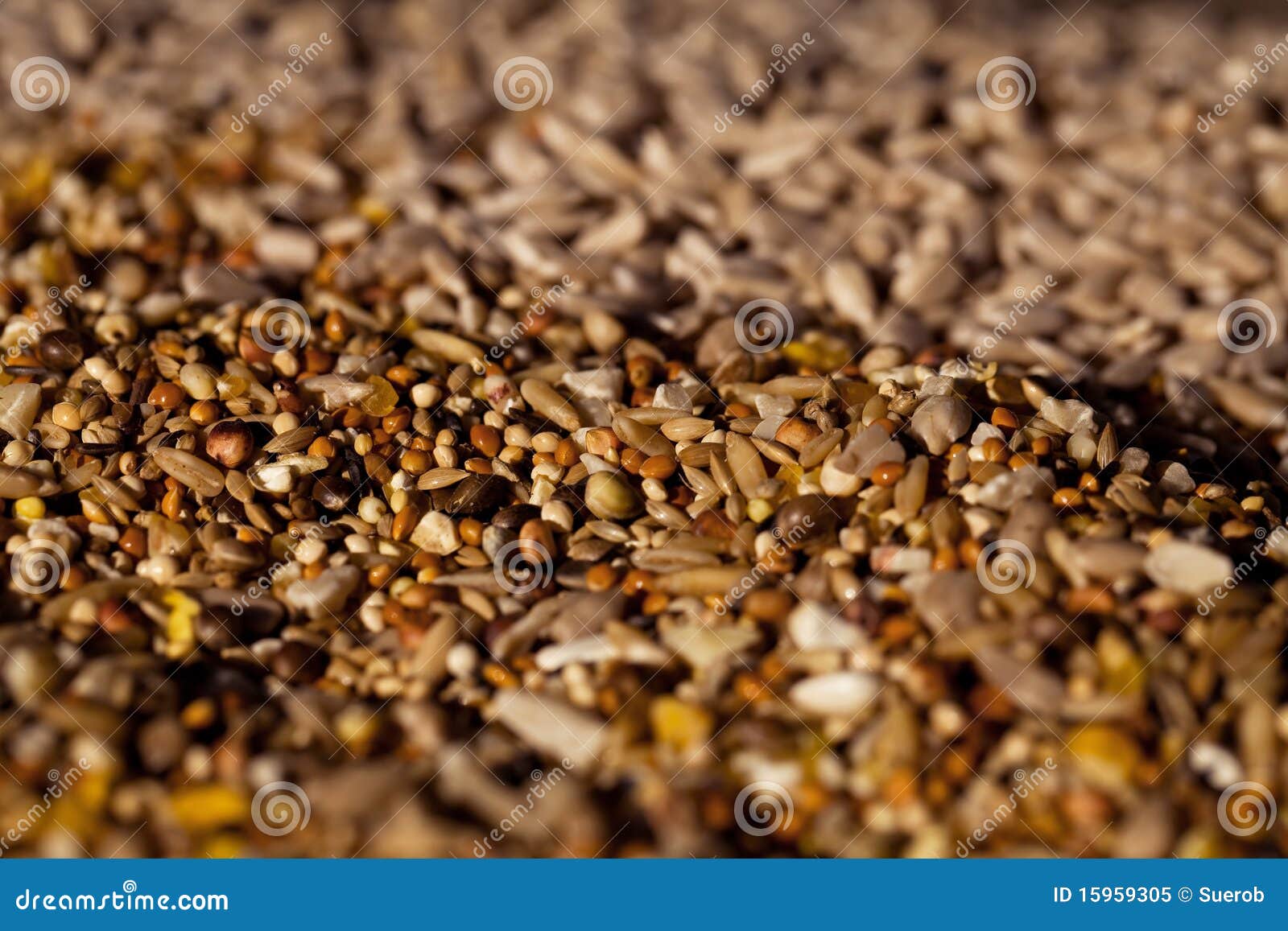 Bird seed stock image. Image of birdtable, kernels, mixed 15959305