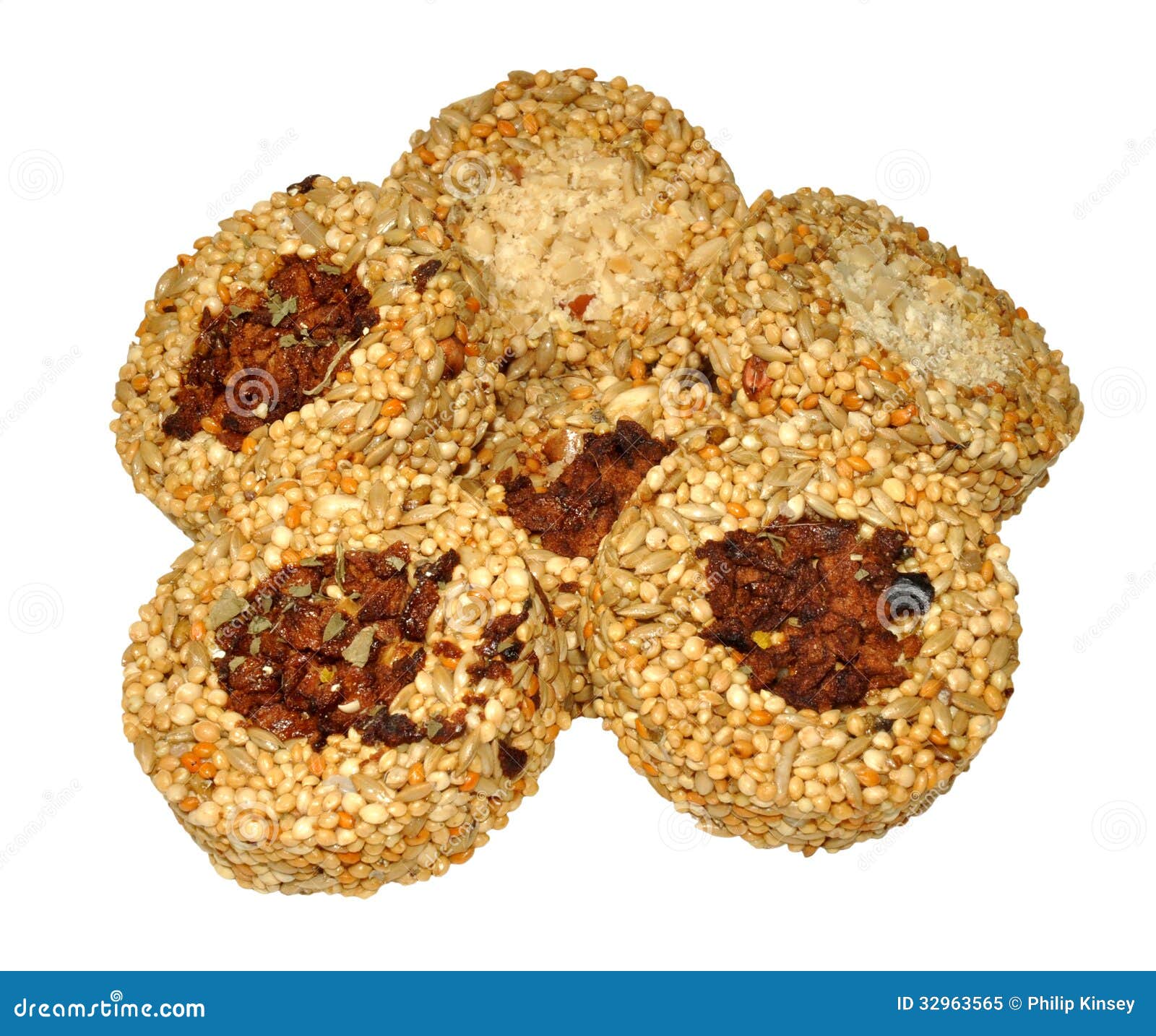 Bird Seed Ring Treats stock image. Image of treat, rings 32963565