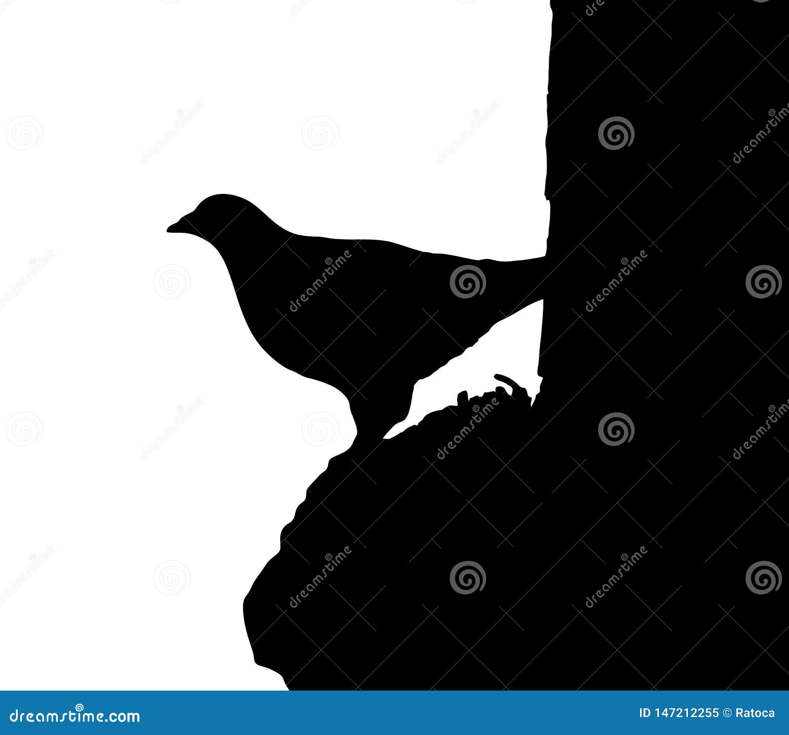 Bird silhouette draw stock vector. Illustration of house - 147212255