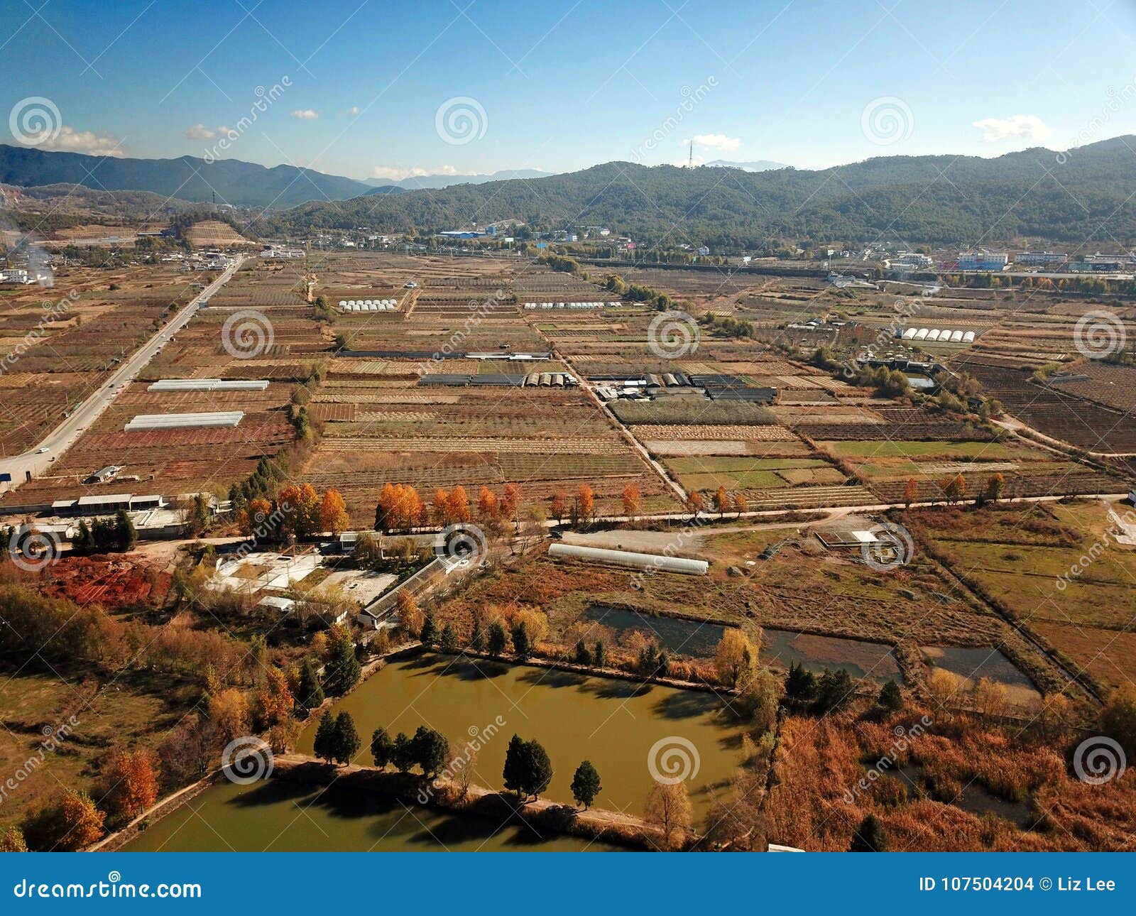 bird view fields in golden autumn
