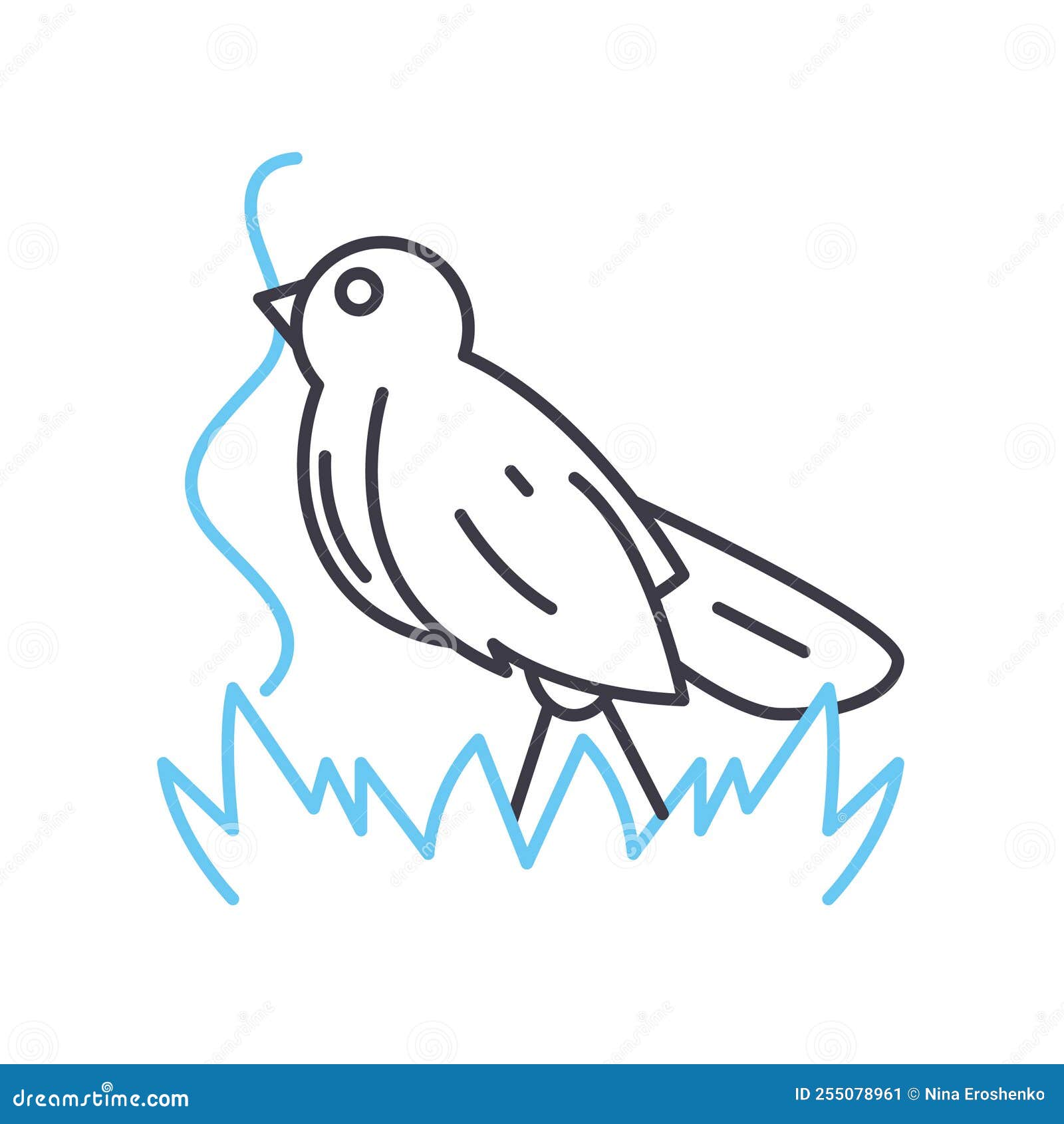 bird vorm line icon, outline ,  , concept sign