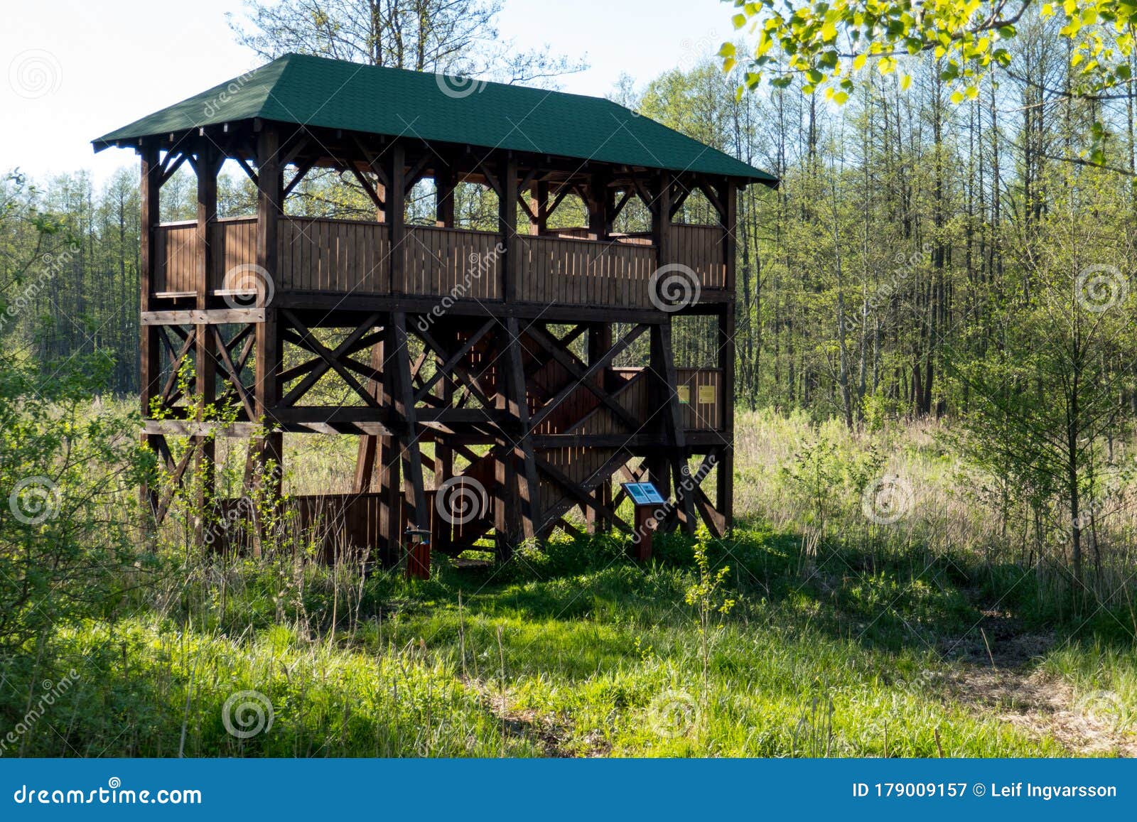 bird watching tours poland