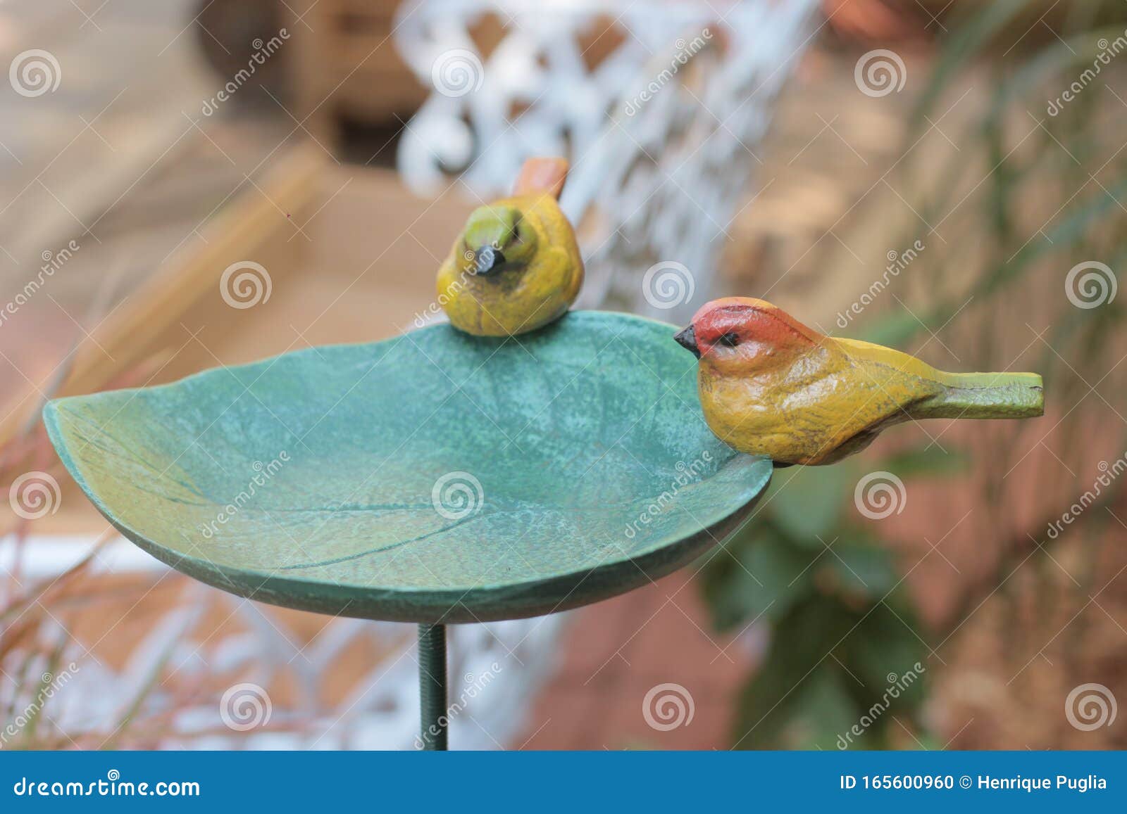 Bird Water Dispenser for Garden Stock Photo Image of water, nature
