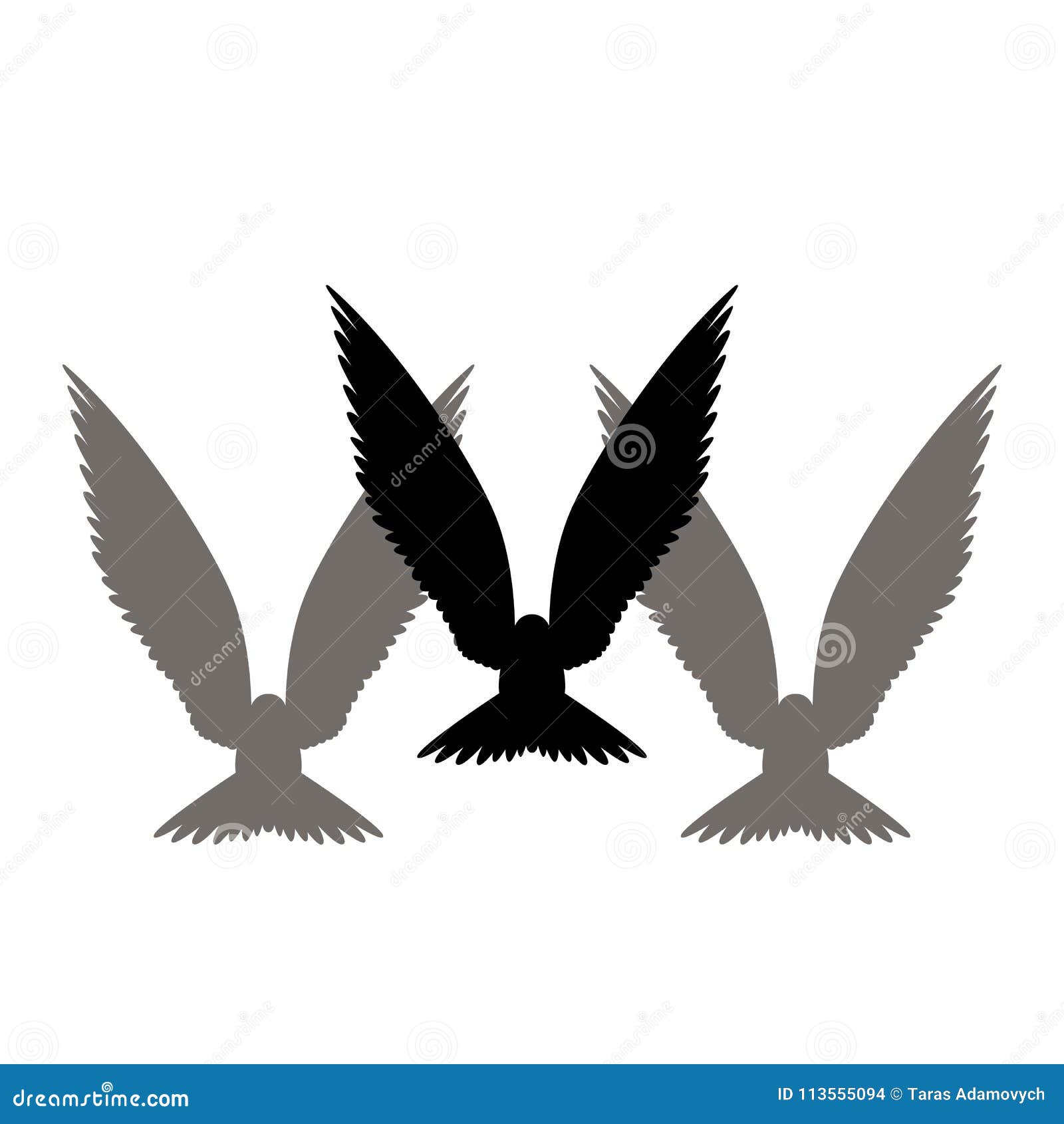 Bird Wings Black Silhouette Set Vector Illustration Front Stock Vector