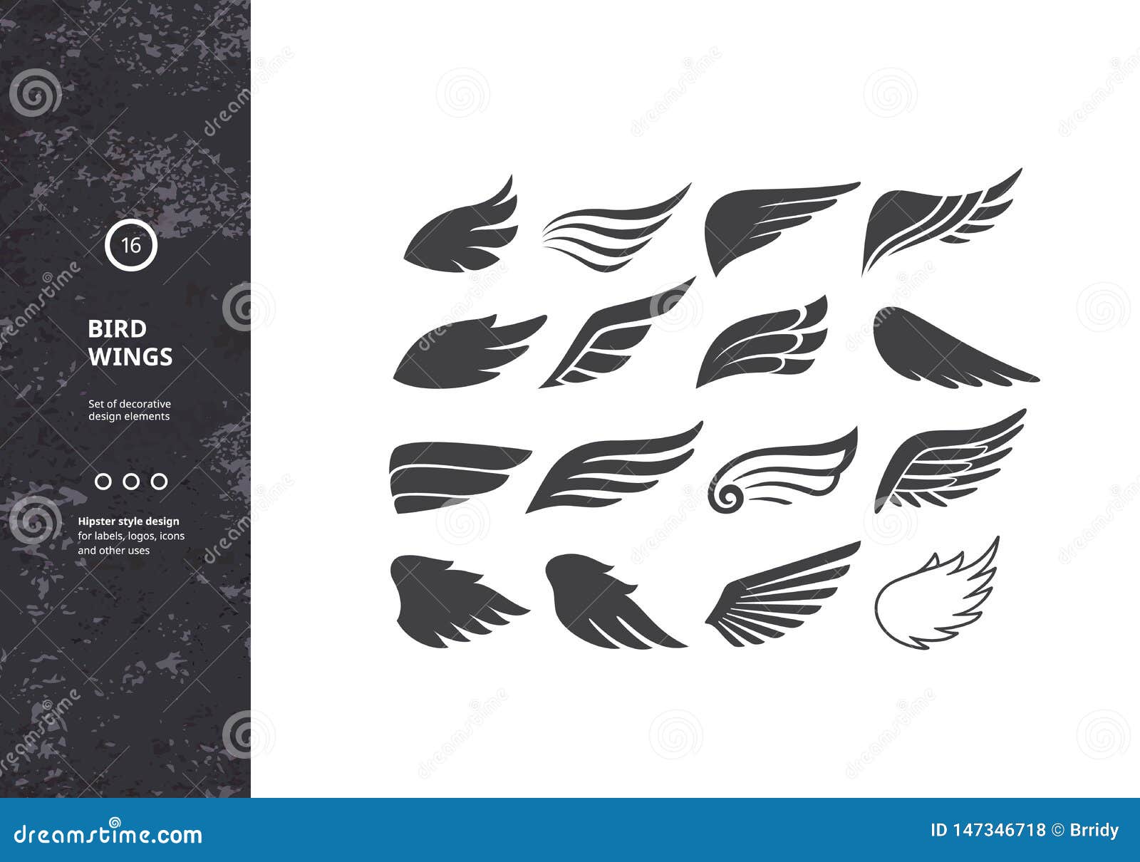 Bird Wing Template Bird Wing Template