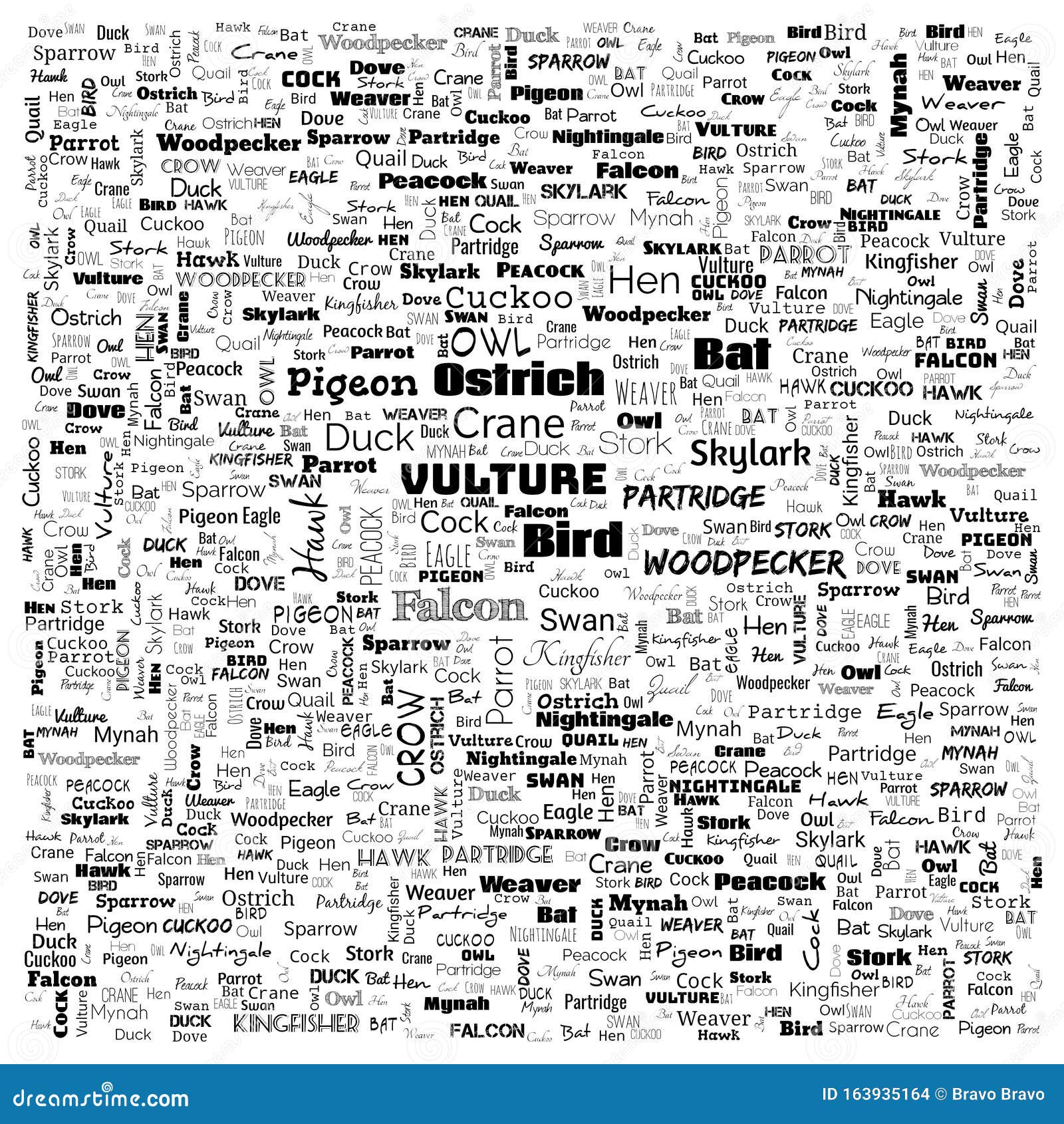 bird word cloud. word cloud use for banner, painting, motivation, web-page, website background, t-shirt & shirt printing, poster,