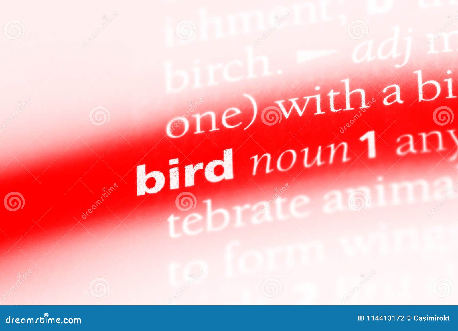 Bird stock photo. Image of dictionary, concept, text 114413172