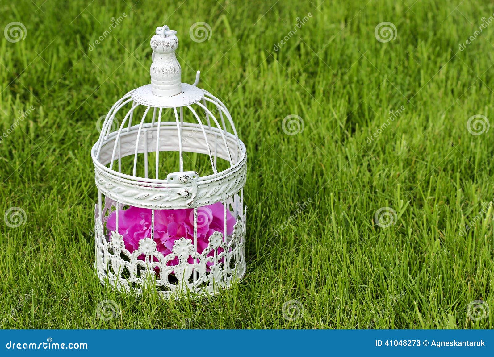 Birdcage with Pink Flowers Inside Stock Image Image of beautiful