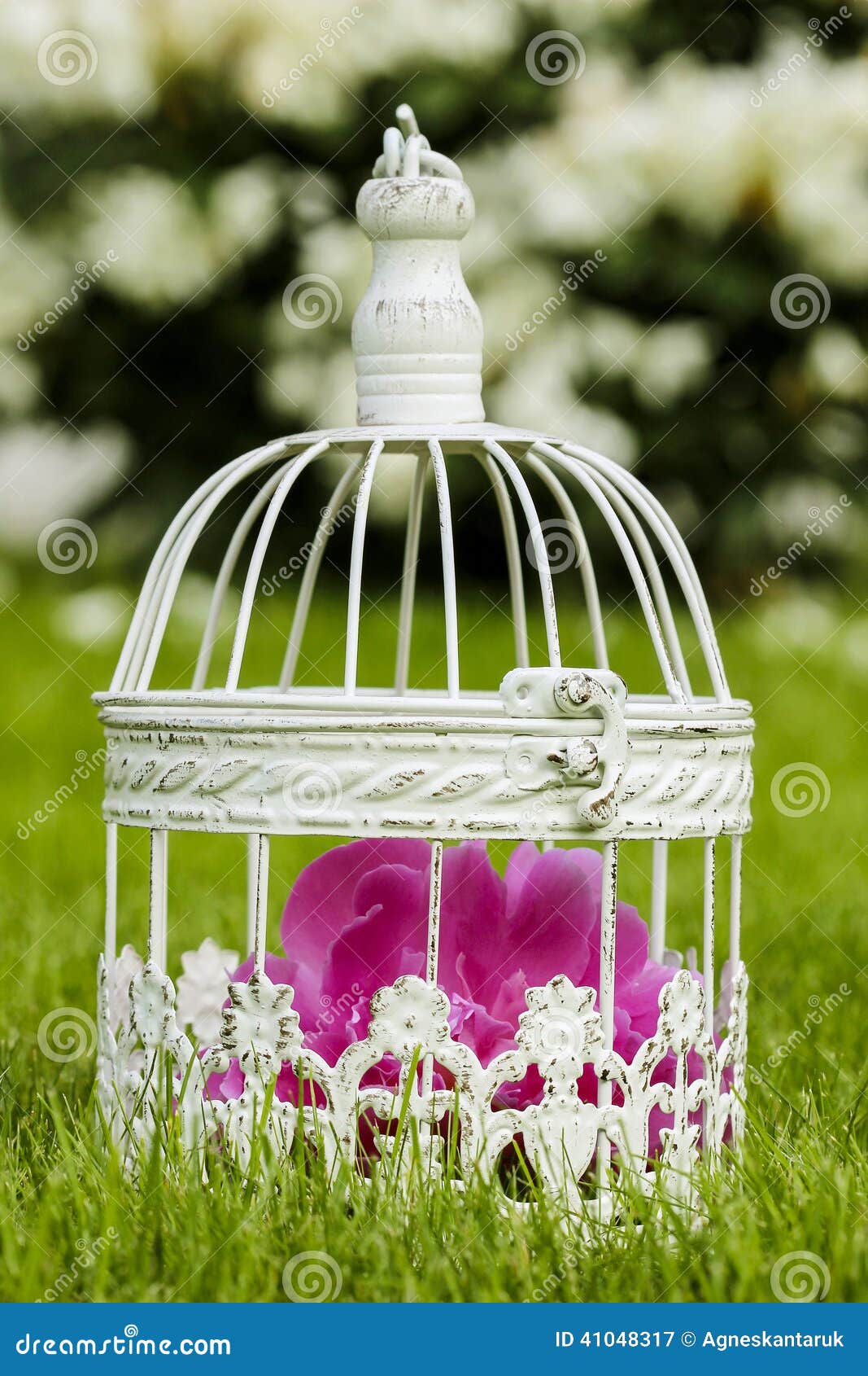 Birdcage with Pink Flowers Inside Stock Image Image of cage