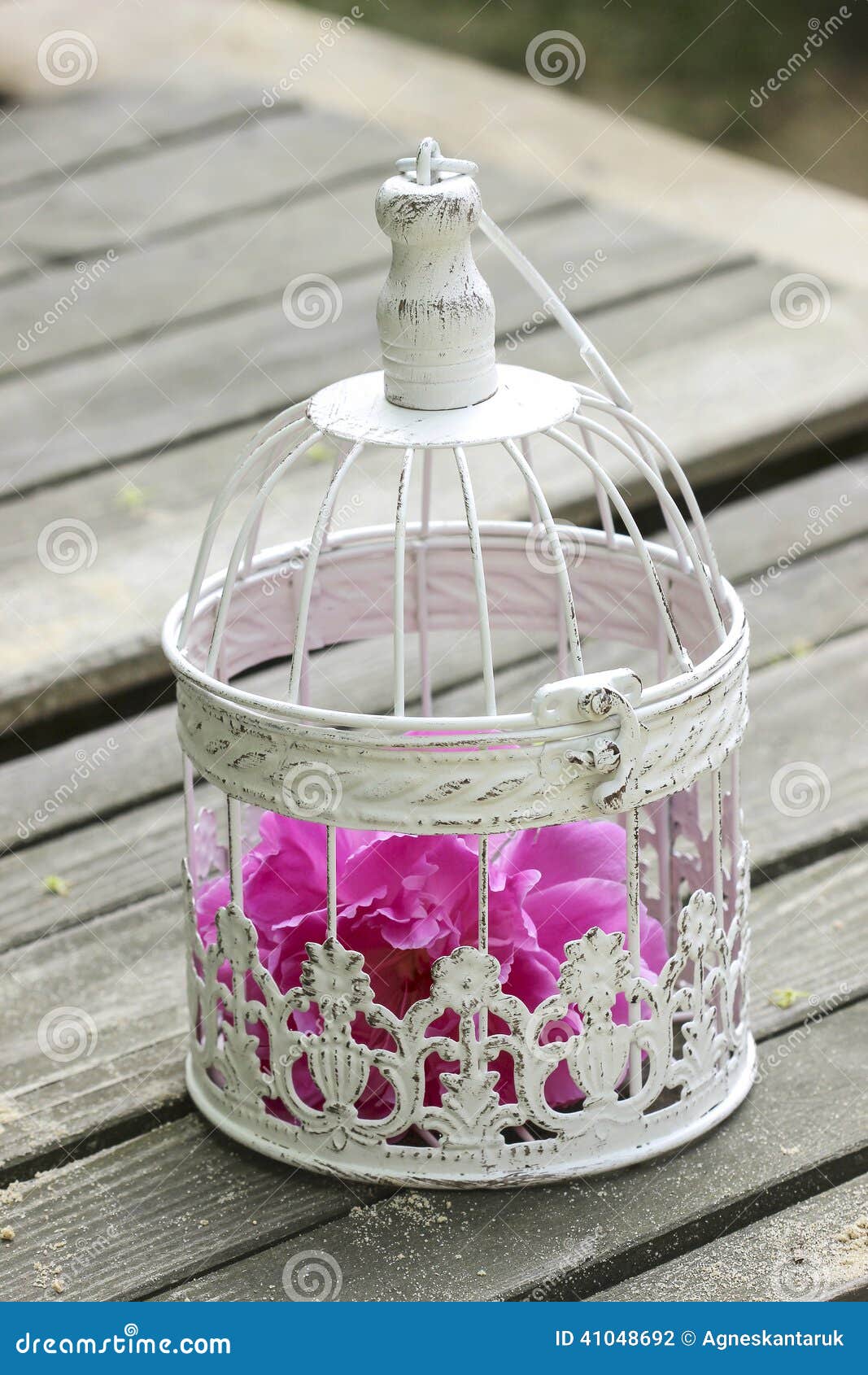 Birdcage with Pink Flowers Inside Stock Photo Image of garden, decor