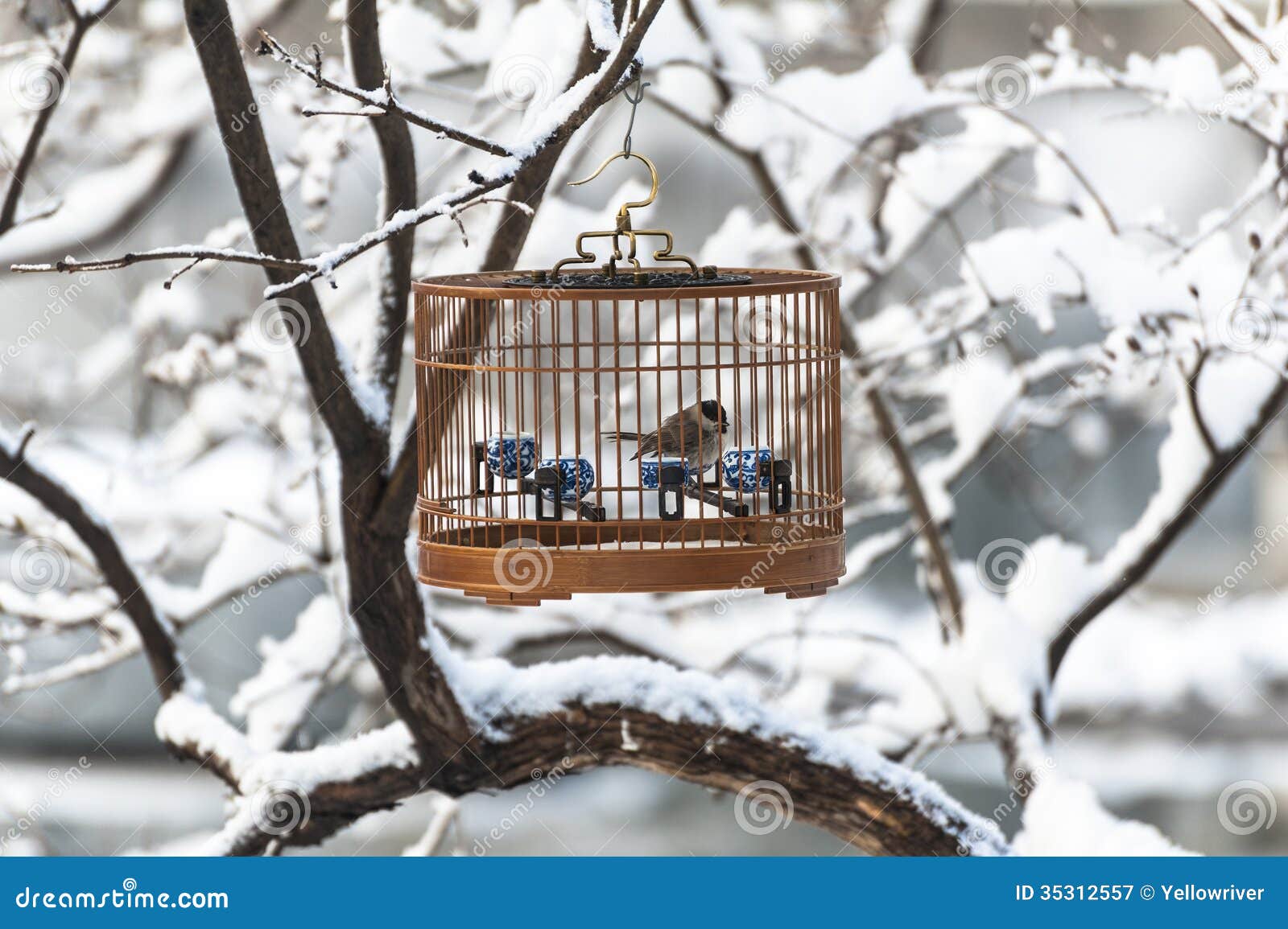 A birdcage in the snow stock image. Image of bird, birdcage 35312557