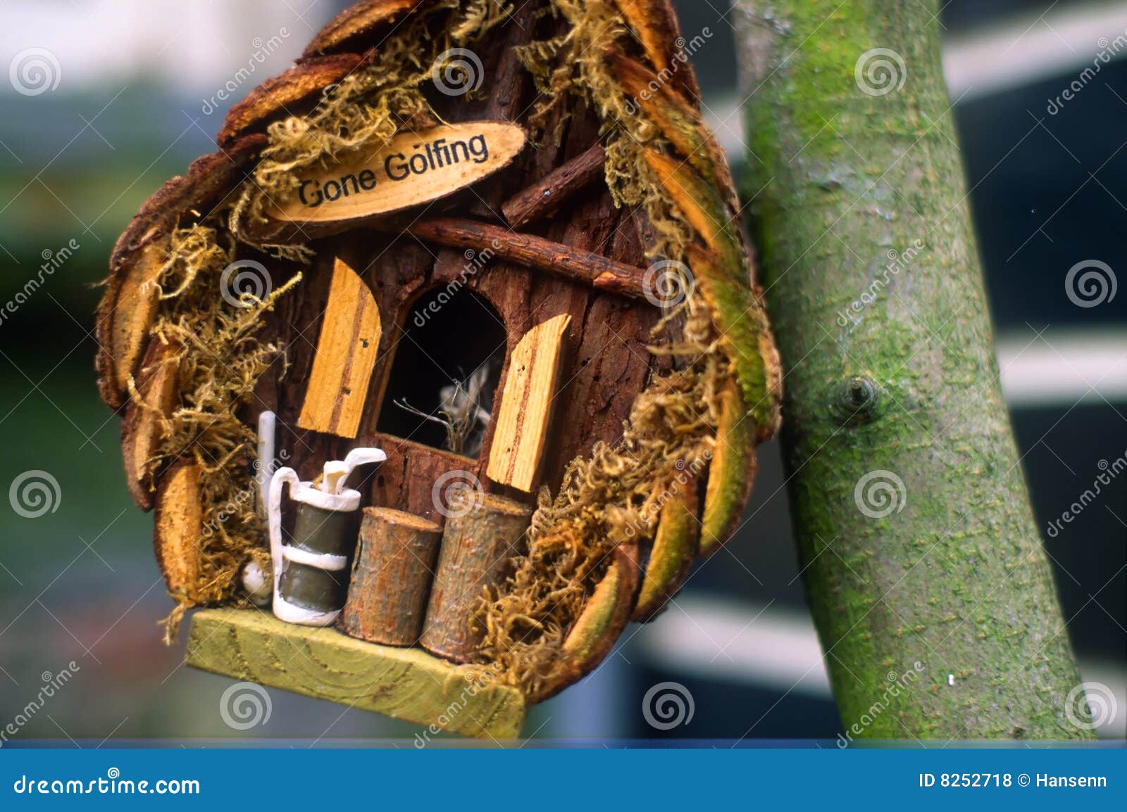 Birdhouse stock photo. Image of funny, golfing, house 8252718