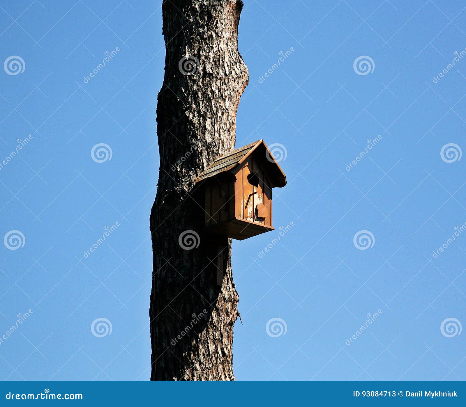 Minimalistic obrazek umieszcza przy drzewem birdhouse