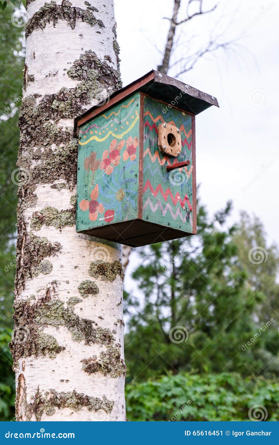 Birdhouse on a birch tree stock image. Image of bird 65616451