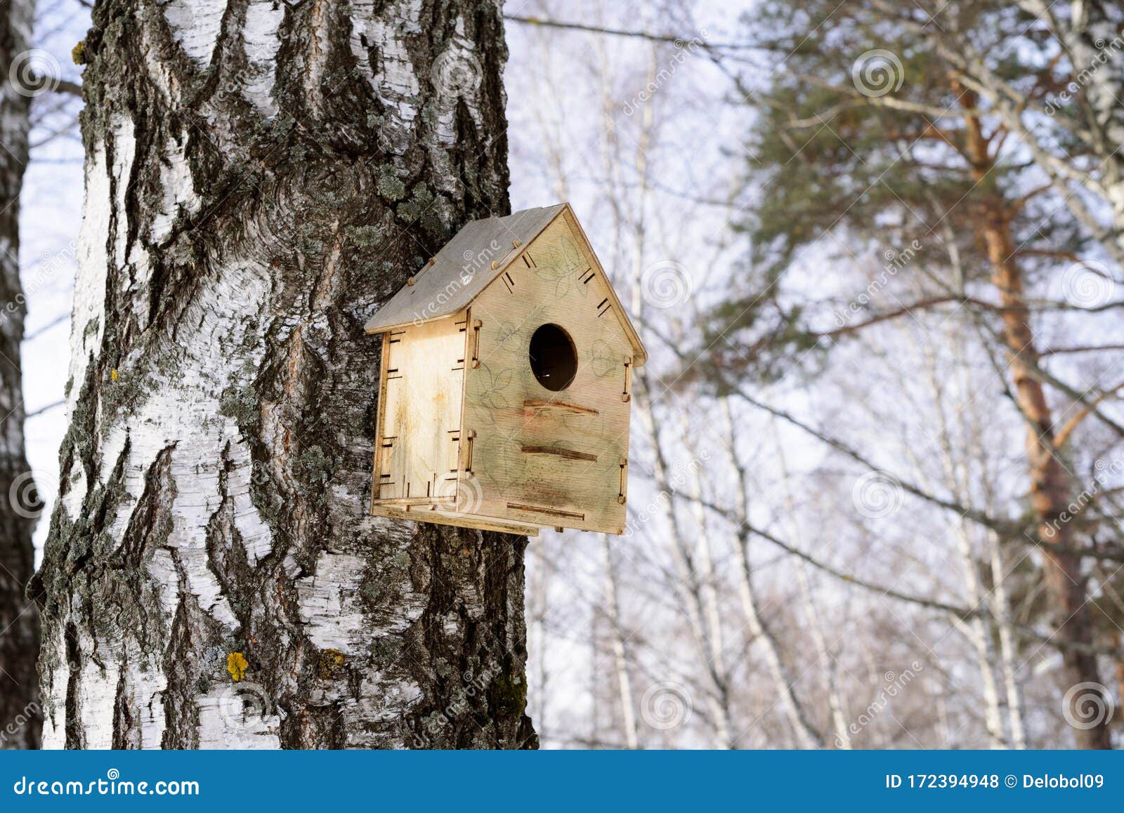 Birdhouse on a Birch Tree in a Winter Forest. Stock Photo Image of