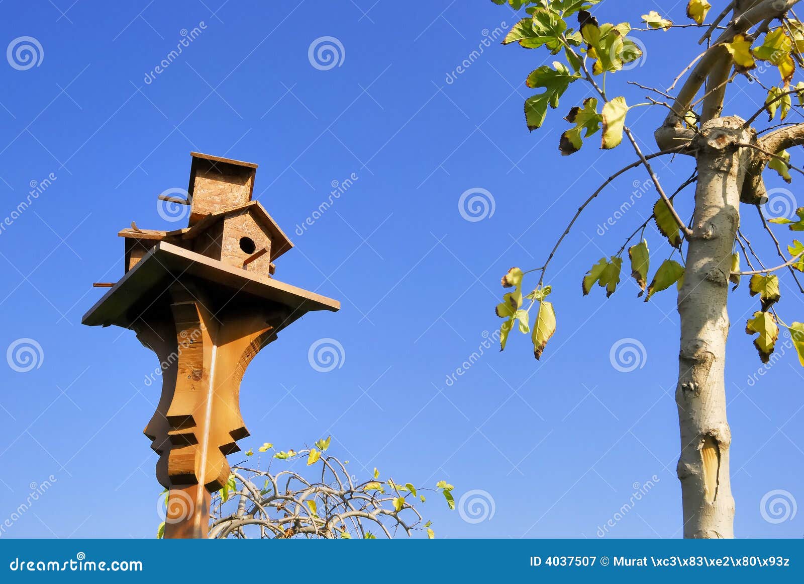 A Birdhouse Near a Little Tree Stock Image Image of bird, avian 4037507