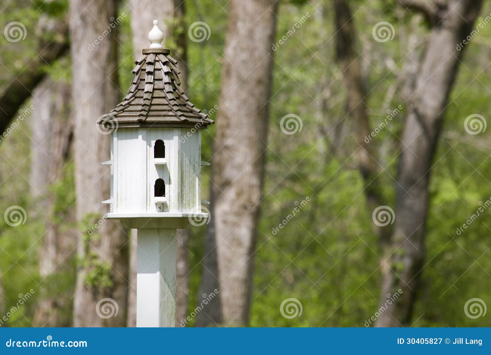 Birdhouse stock image. Image of pole, pretty, birdhouses 30405827