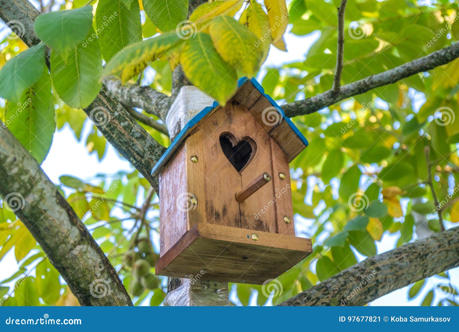 A Birdhouse on a Tree, a Man Takes Care of Nature Stock Image Image