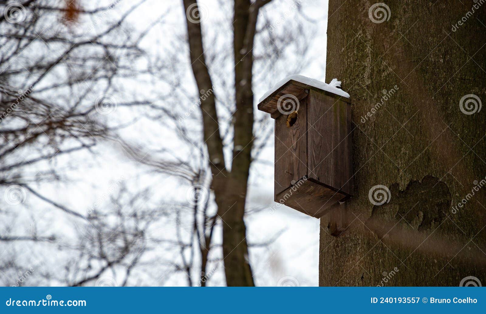 Birdhouse in the Winter stock image. Image of winter 240193557