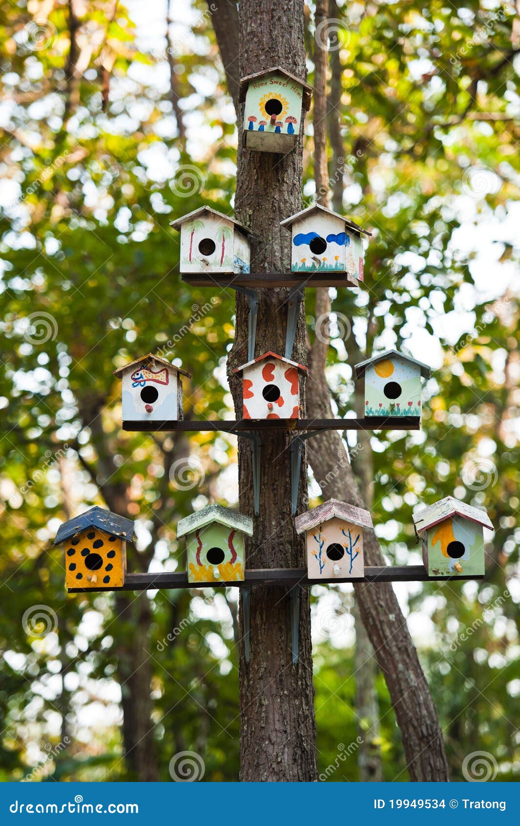 Birdhouses on a tree stock photo. Image of bark, protection 19949534