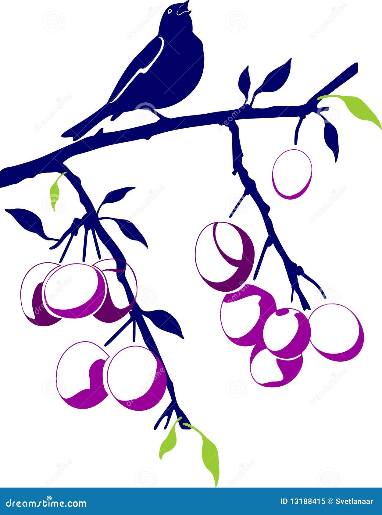 birdie on a plum branch