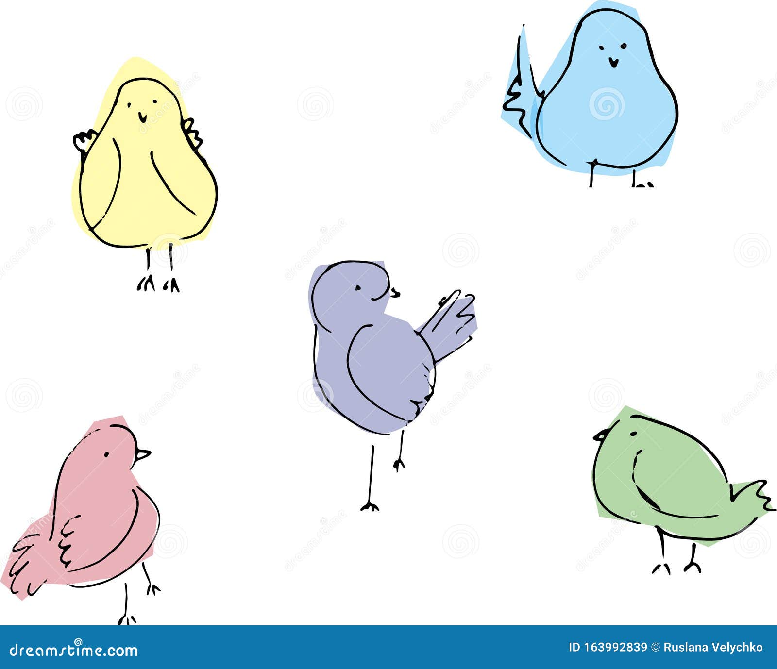 Set Simple Birds Doodle Outline Color Hand Drawn, Sketch. Stock