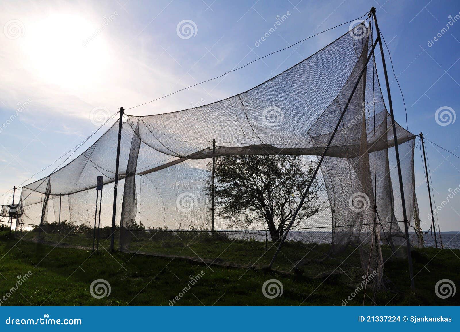 Bird Catching Nets in Vente Cape Stock Photo - Image of nets, nature:  21337224