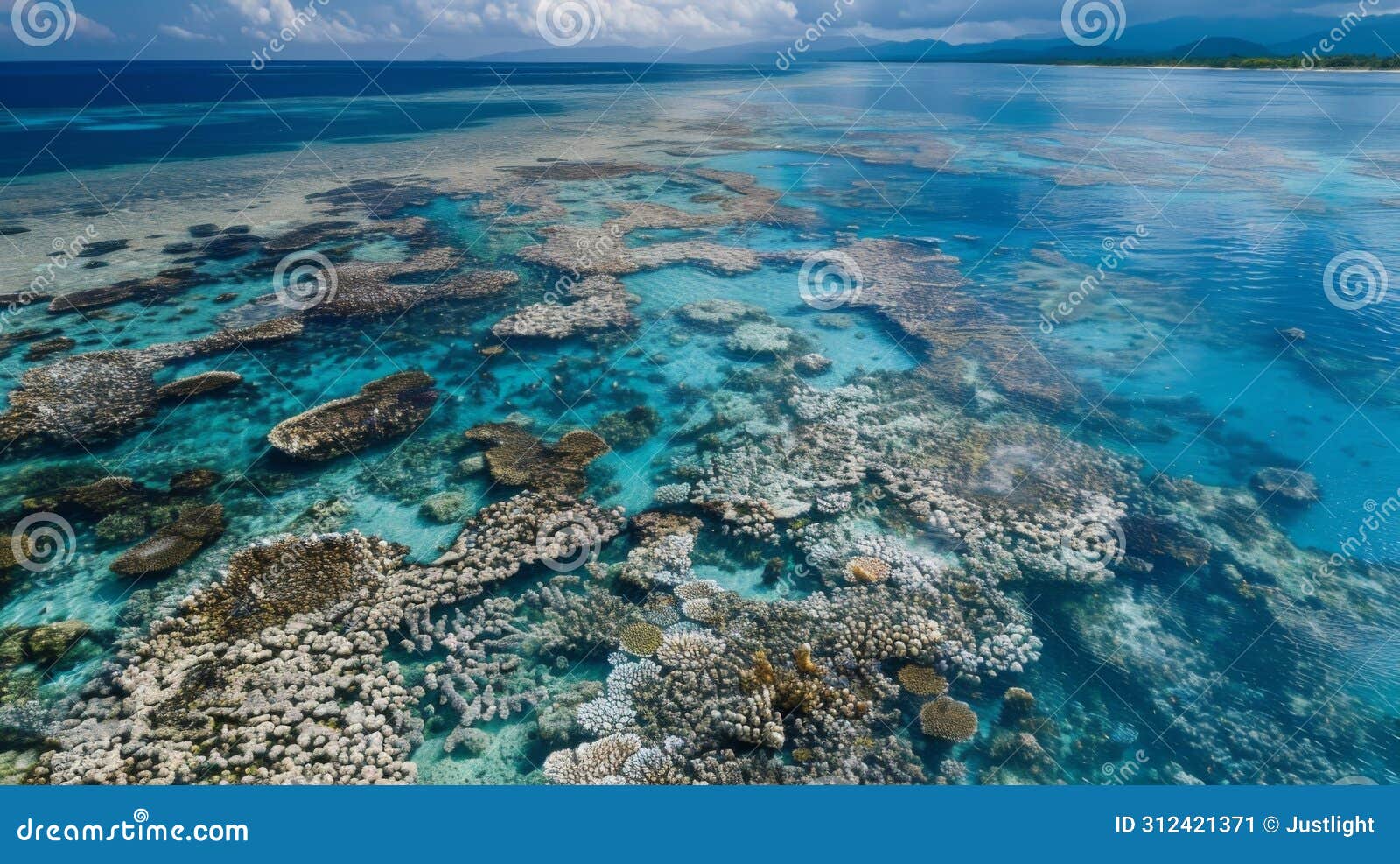 a birds eye view of a vast and eerie expanse of bleached coral a disastrous scene caused by rising ocean temperatures