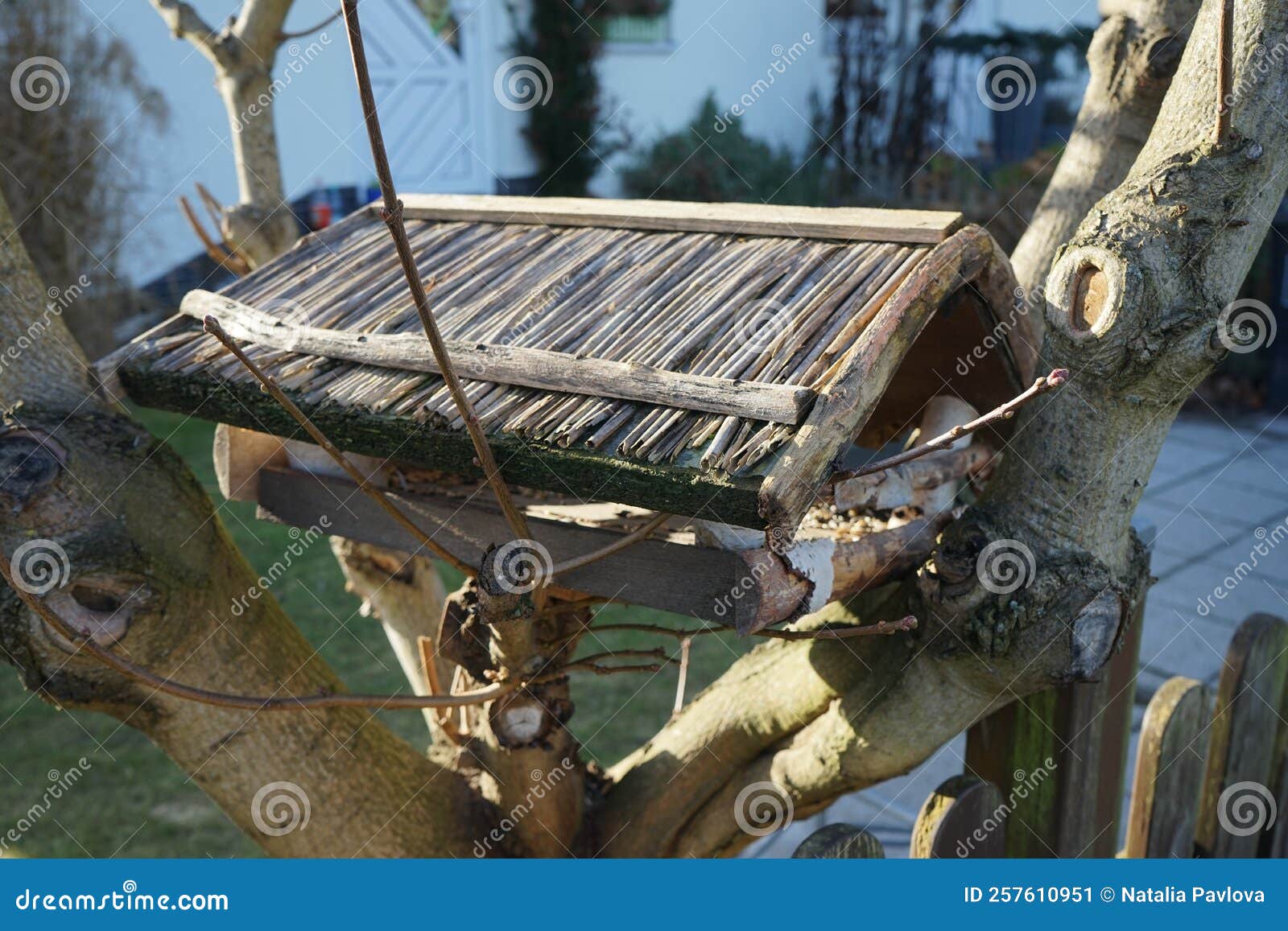 Bird Feeder on a Tree in Winter. Berlin, Germany Stock Image Image of