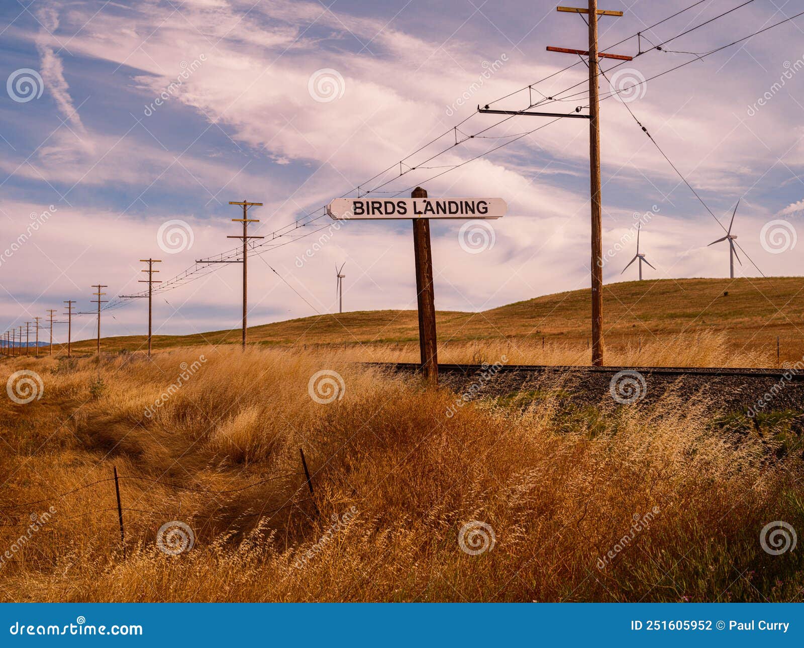 birds landing signage, solano county, california